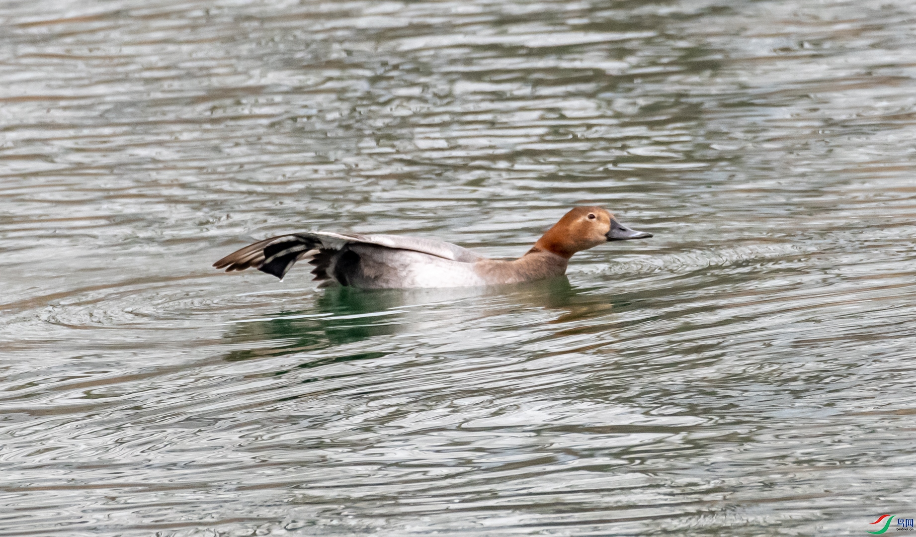 DSC_6391.jpg