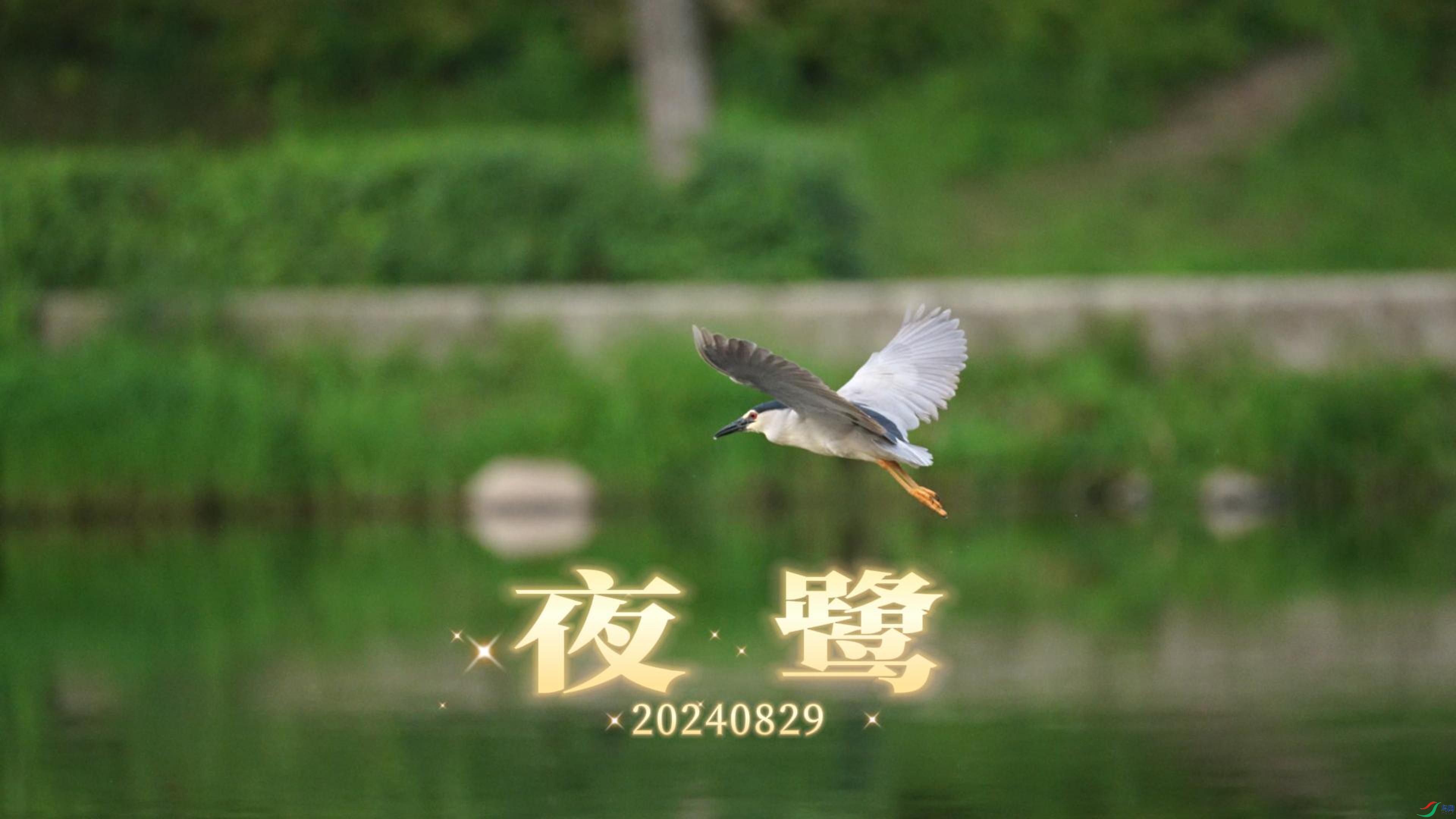 8��29�� (1)-����.jpg