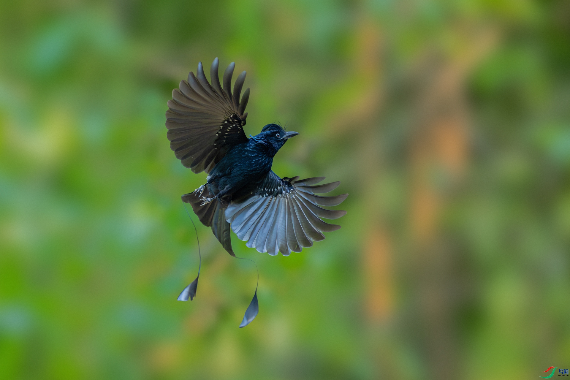 _DSC3561-����ǿ-NR ����_1.jpg