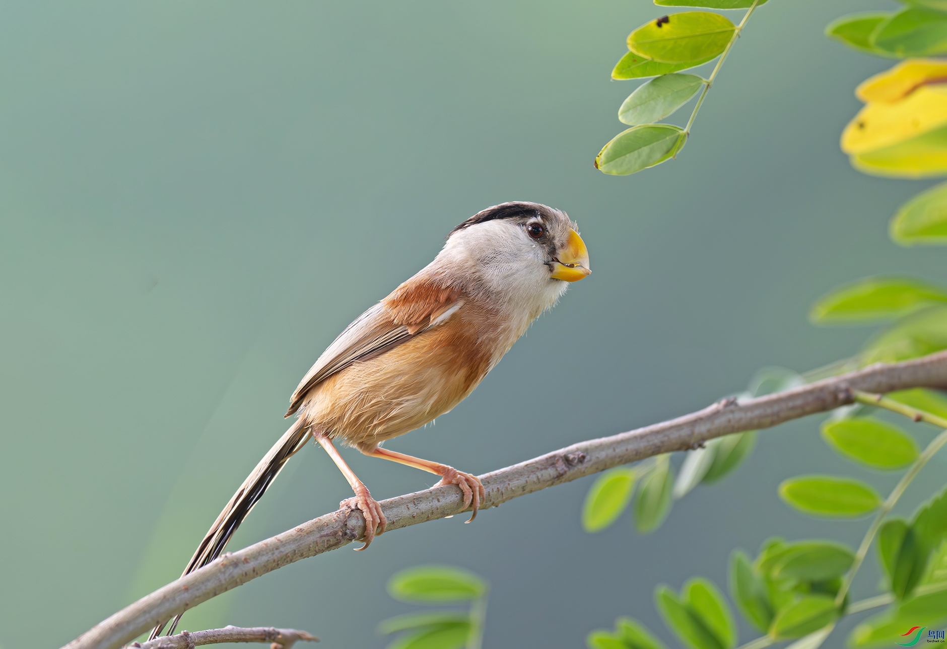 _DSC8689d.jpg