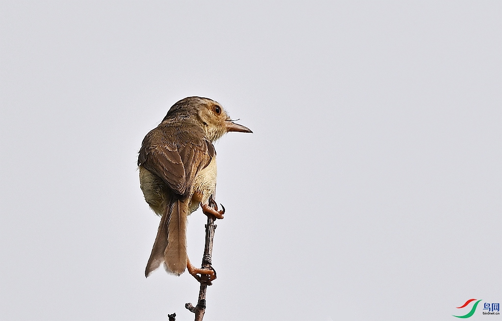DSC_2086.JPG
