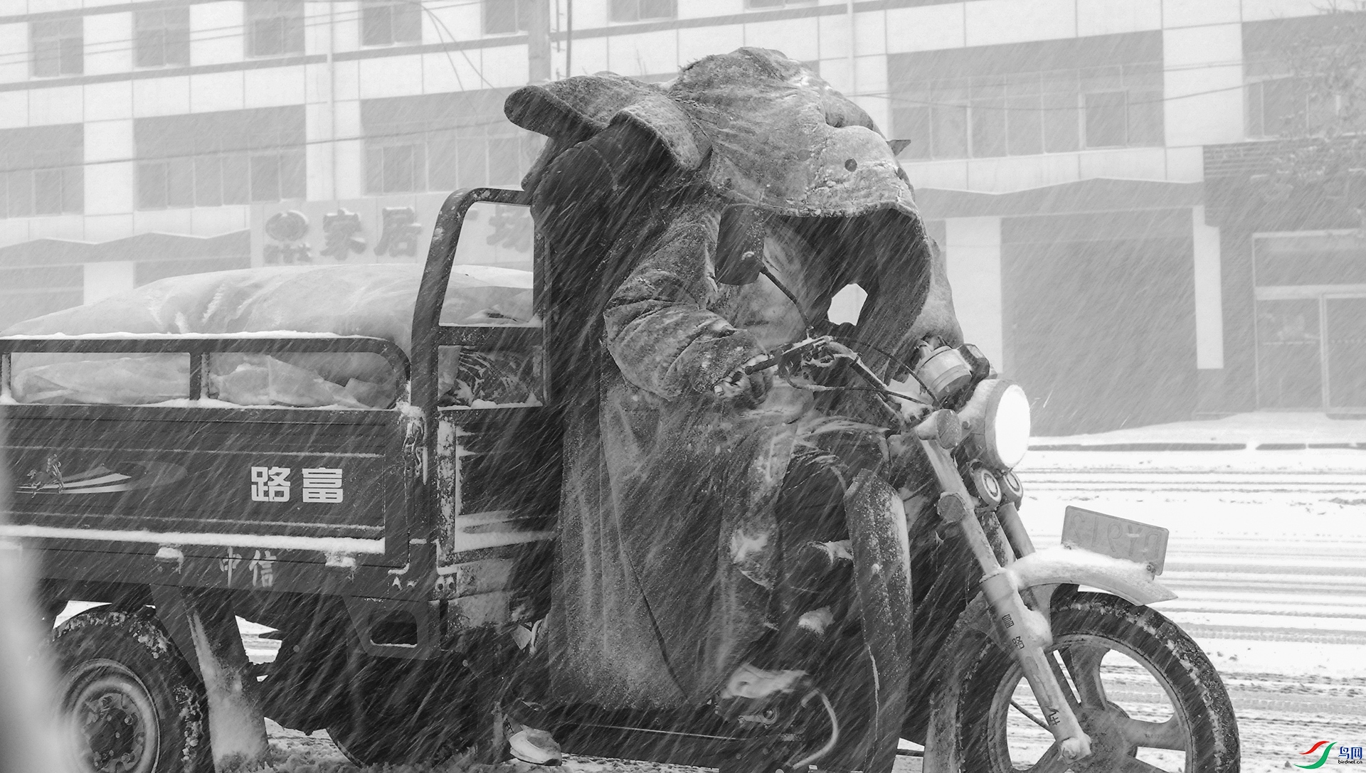 DSC_0004-1.jpg