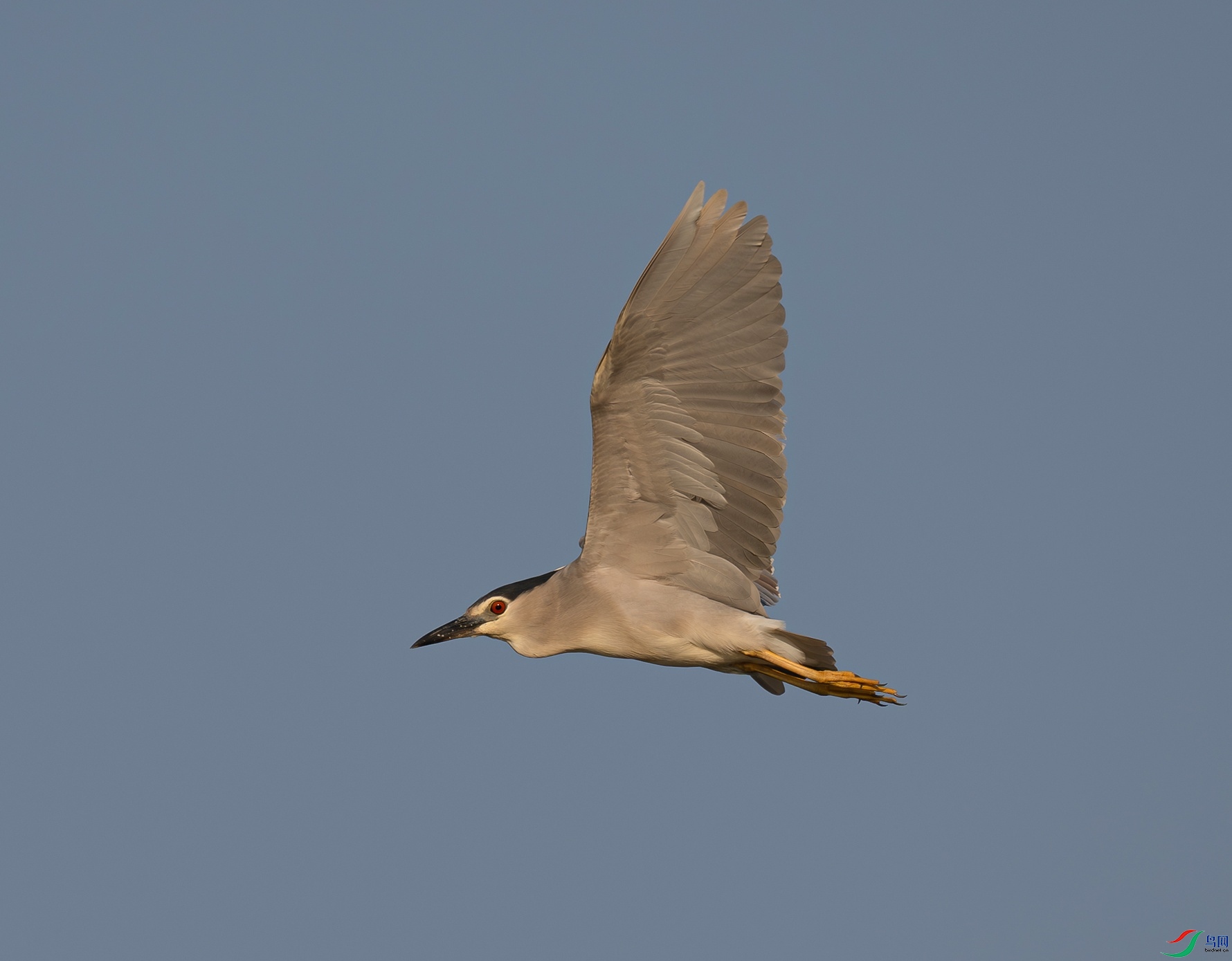 _DSC6425f.jpg