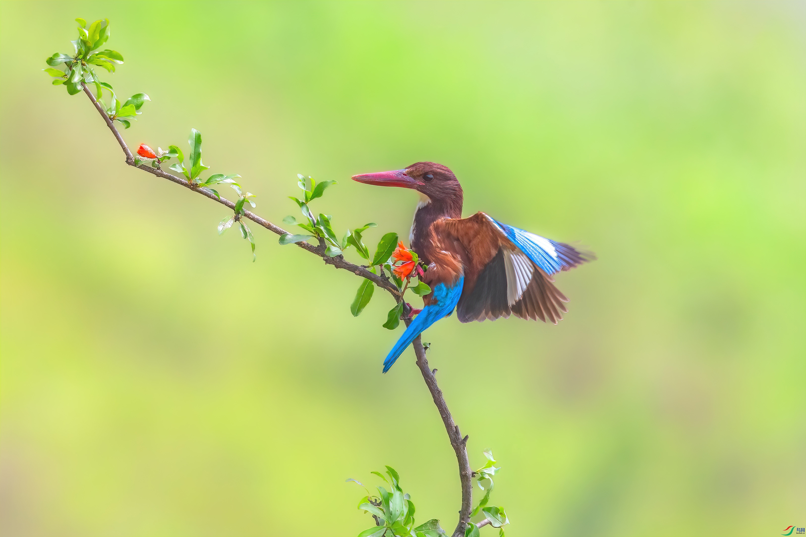 C09R0291 ����.jpg