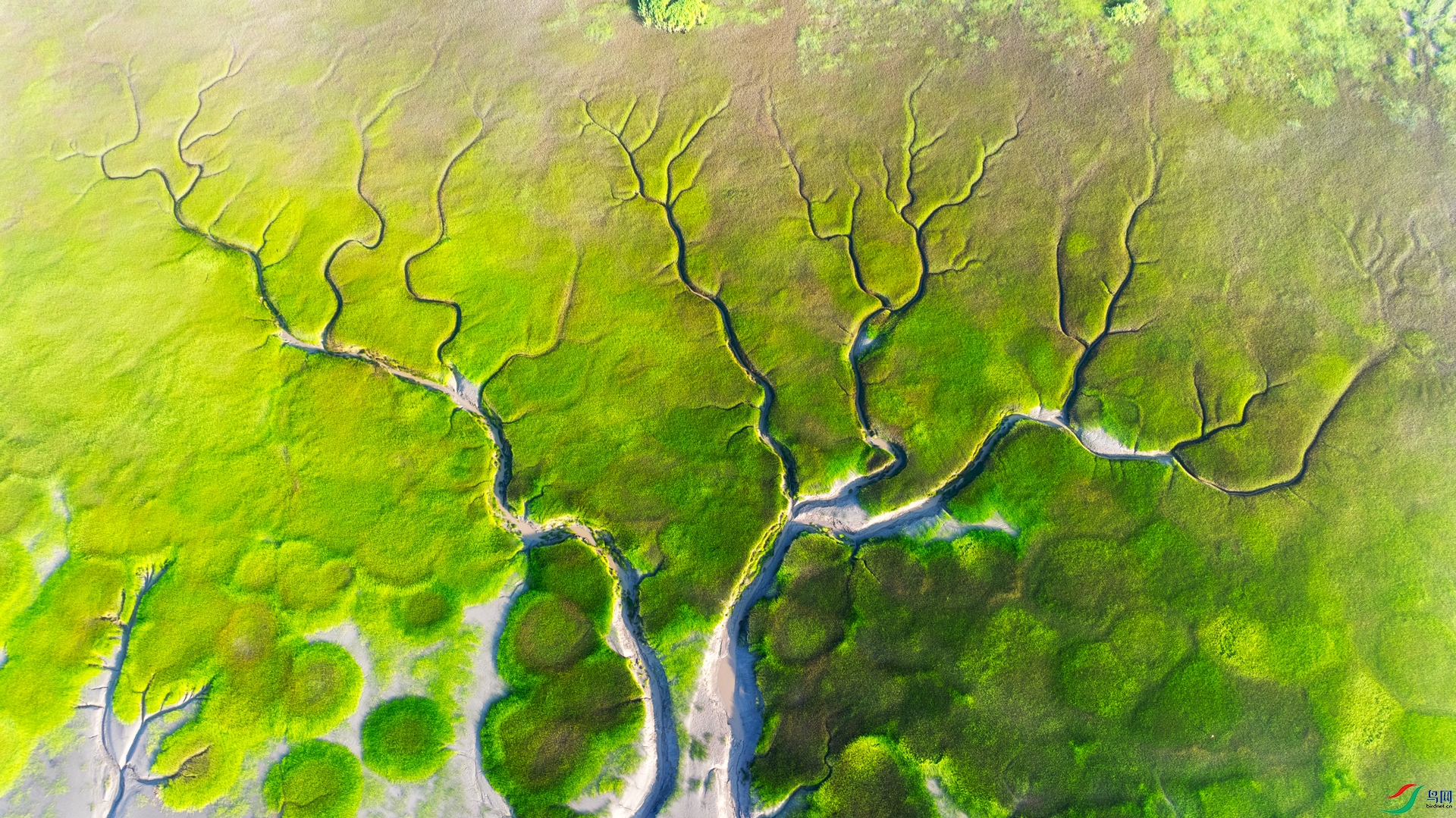 DJI_20240807063816_0155_D.jpg