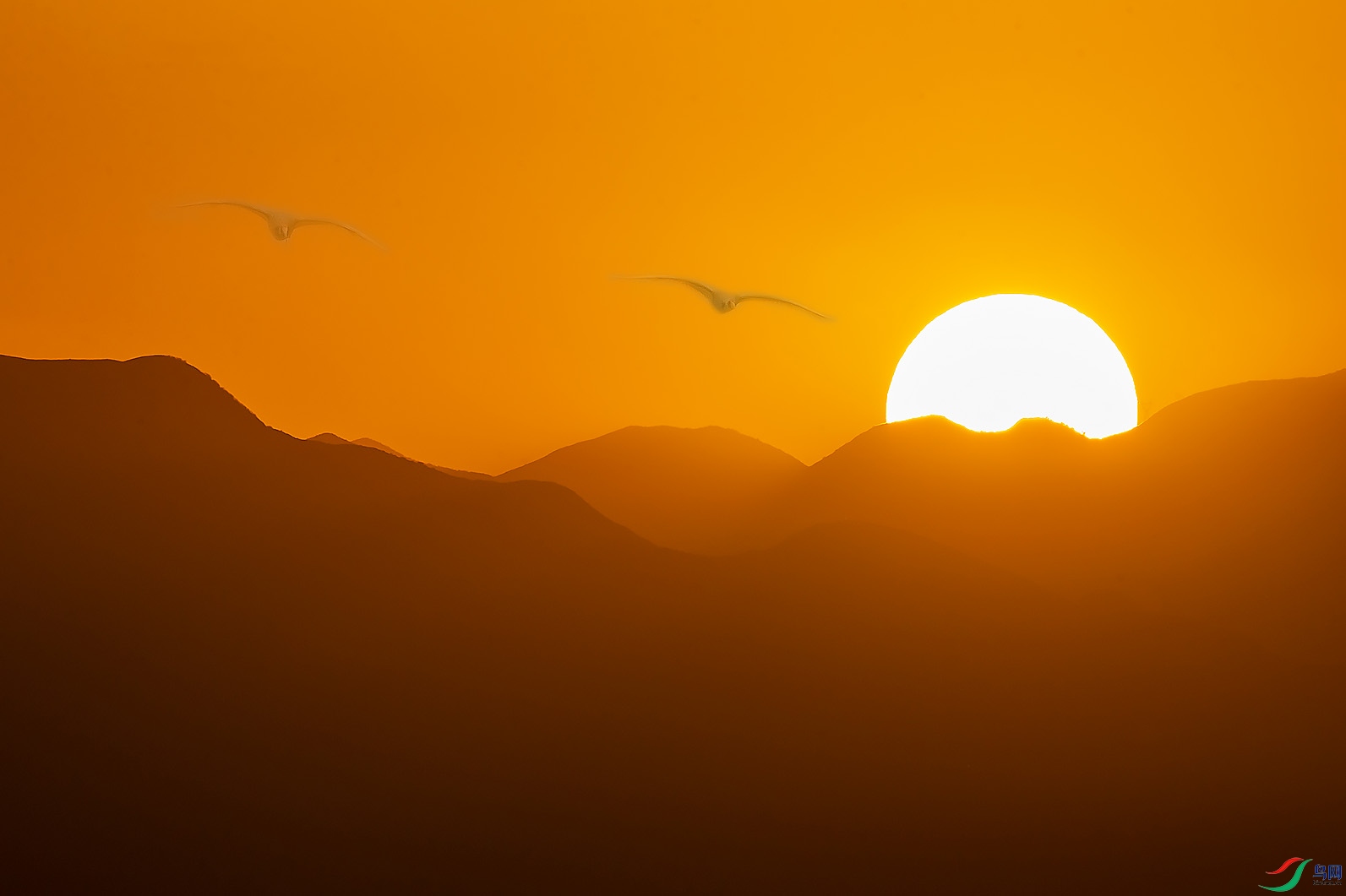 Ϧ������