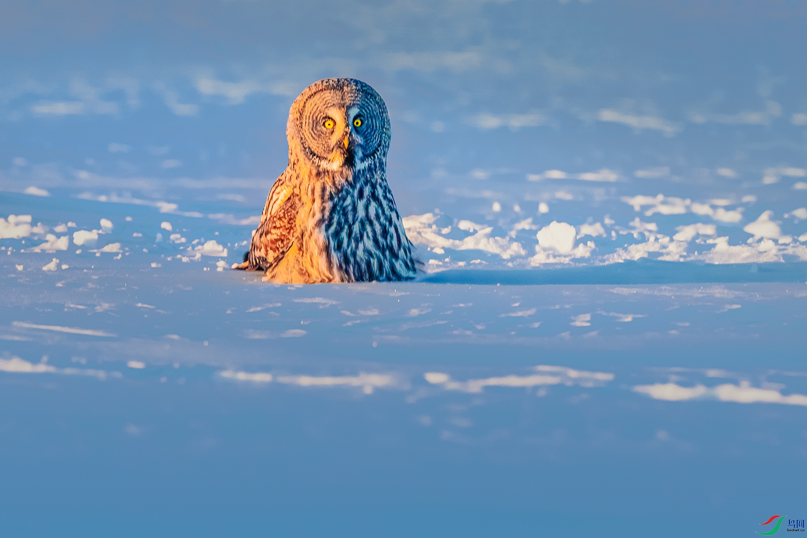 �����^----ѩ����ɮ