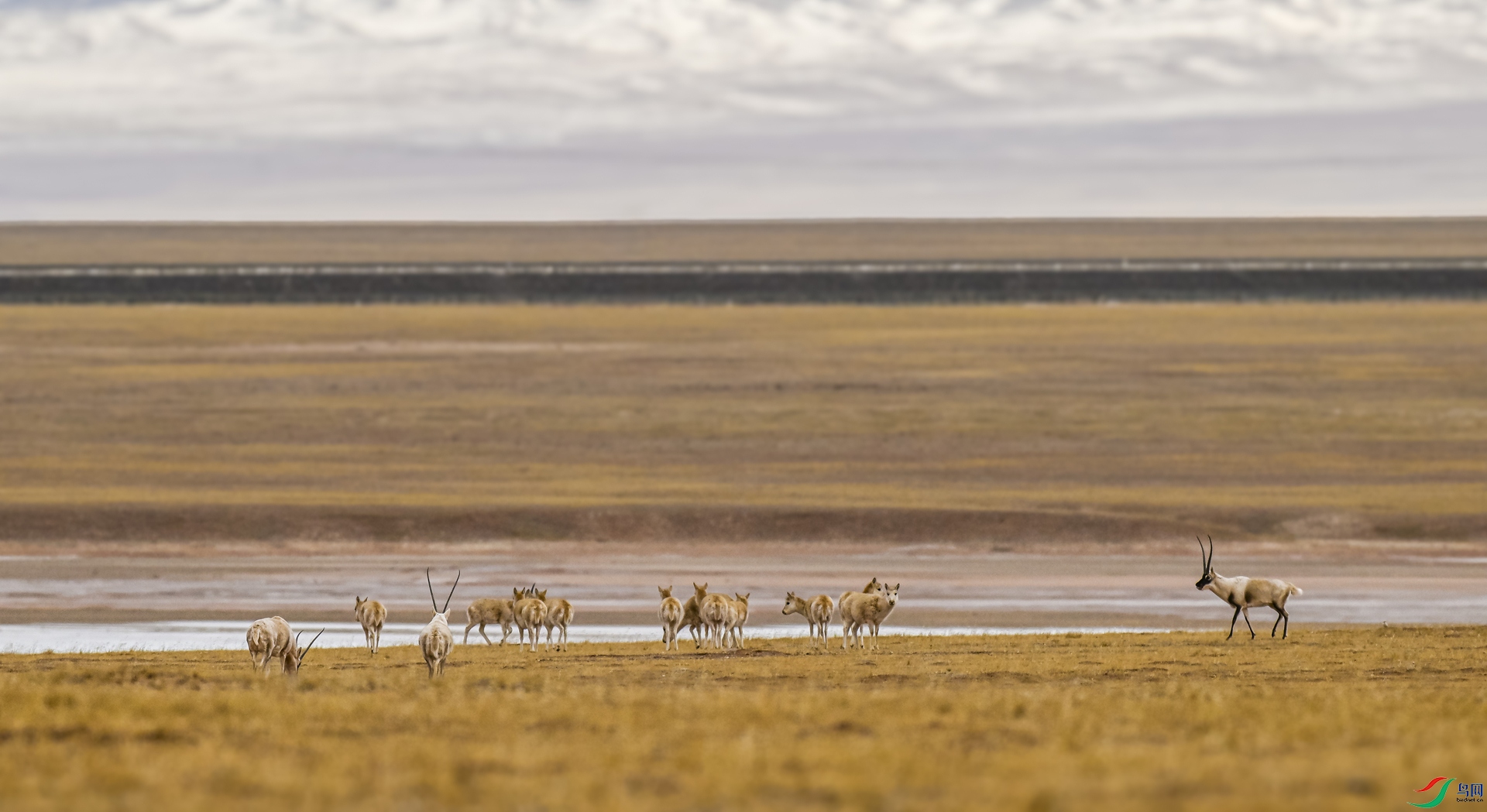_DSC9148_����.jpg