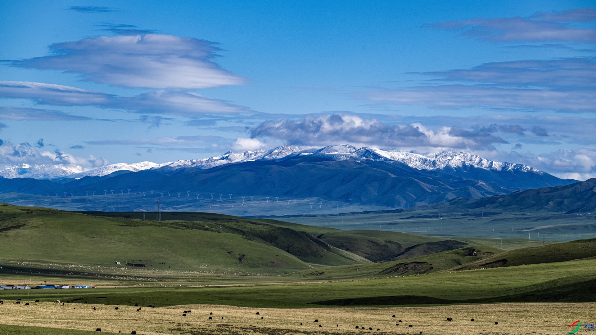 ������̲��ԭ������--1�����ߣ��μ��� �绰��13109718696_����.jpg