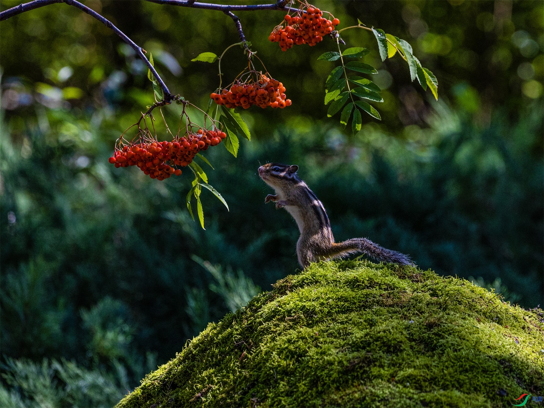 1K3A3508 ����1.jpg