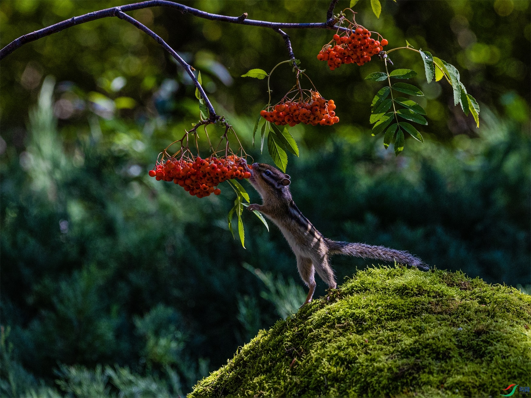 1K3A3513 ����1.jpg