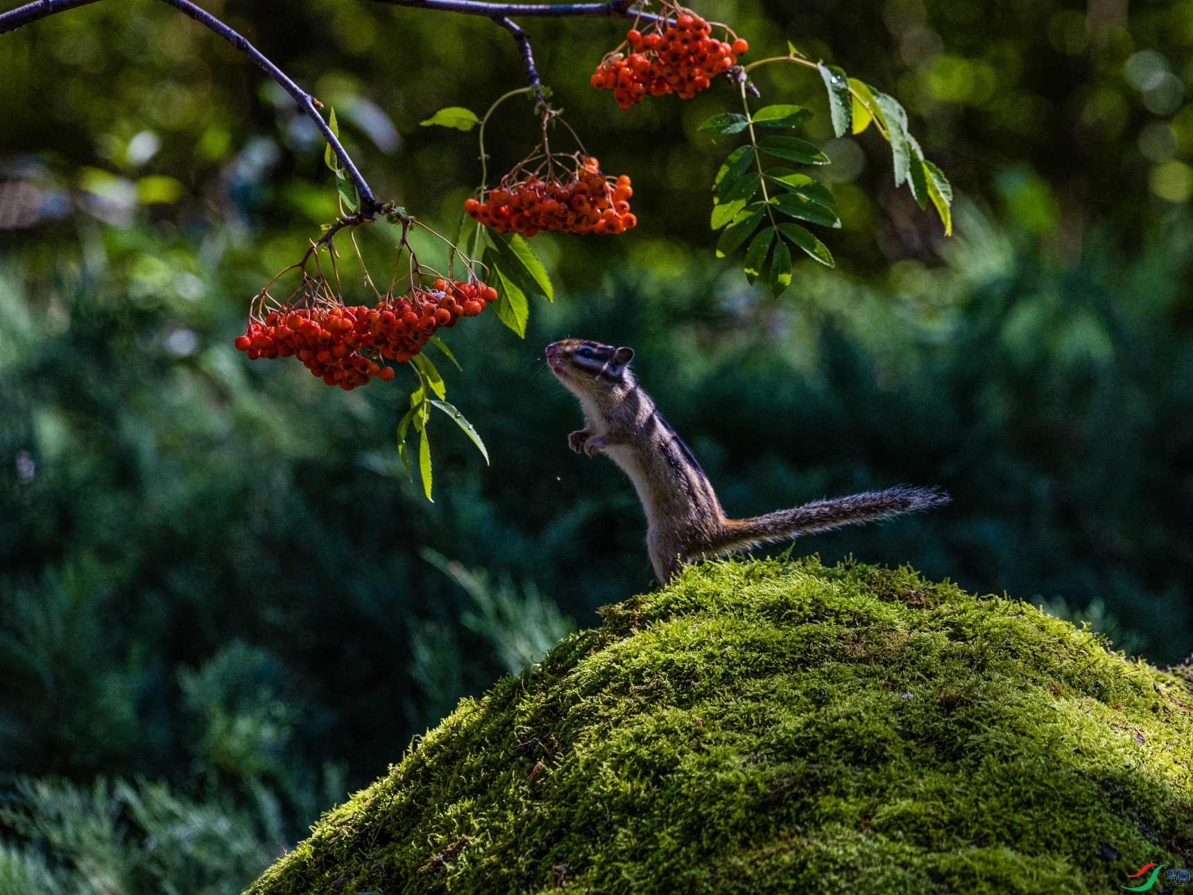 1K3A3511 ����1.jpg