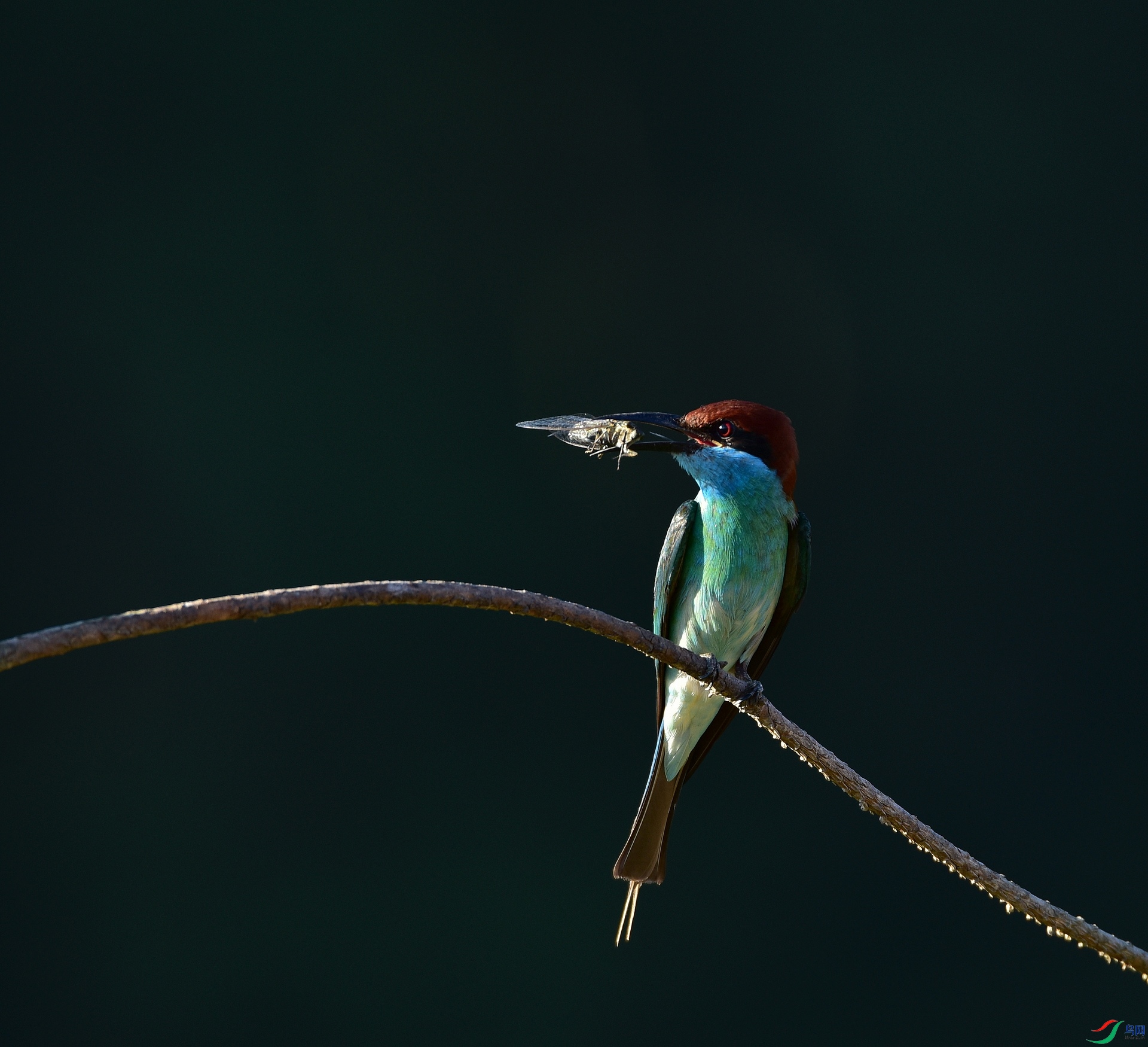 D8I_6496.jpg