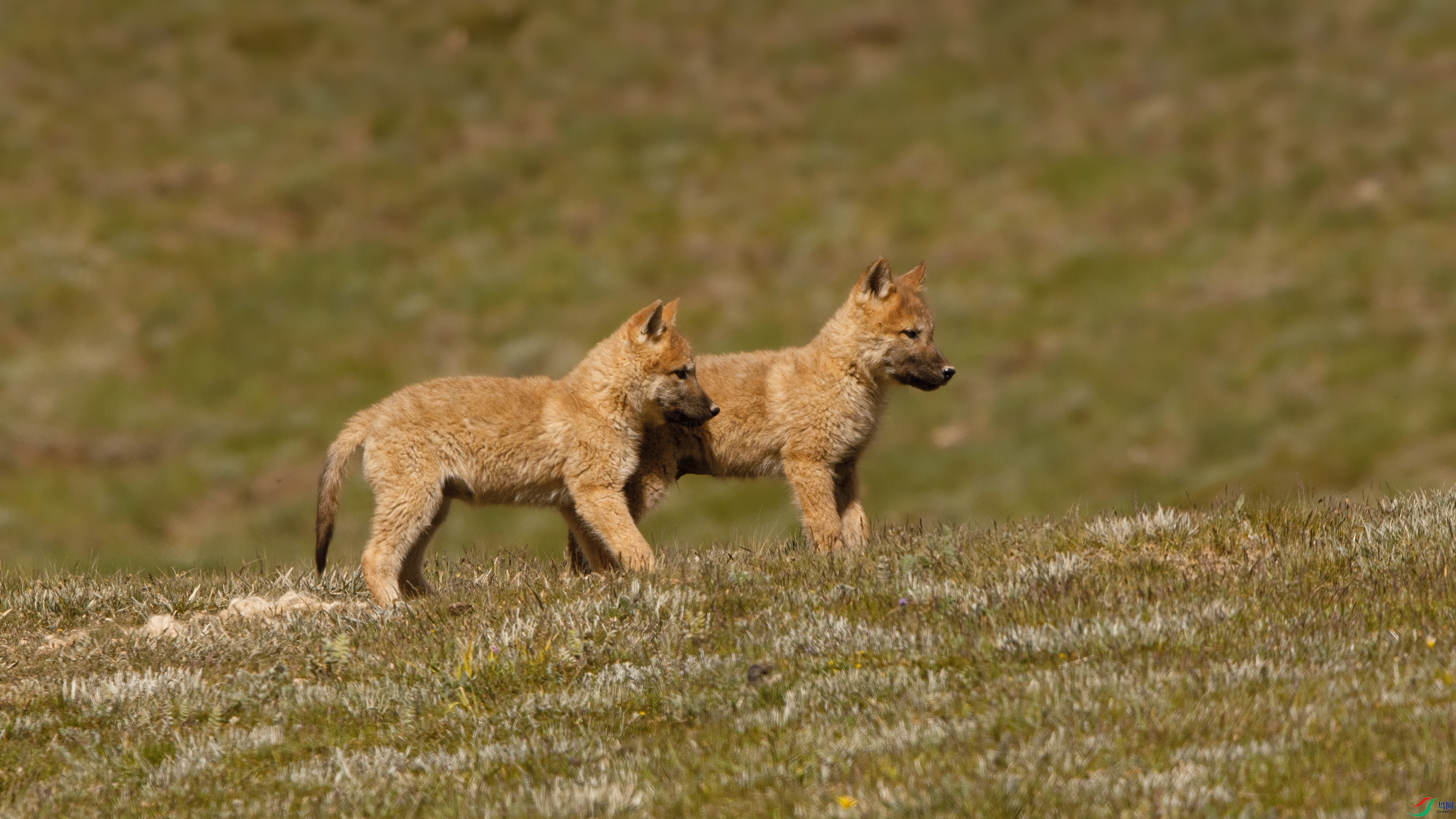 000A8713 ����9999.jpg