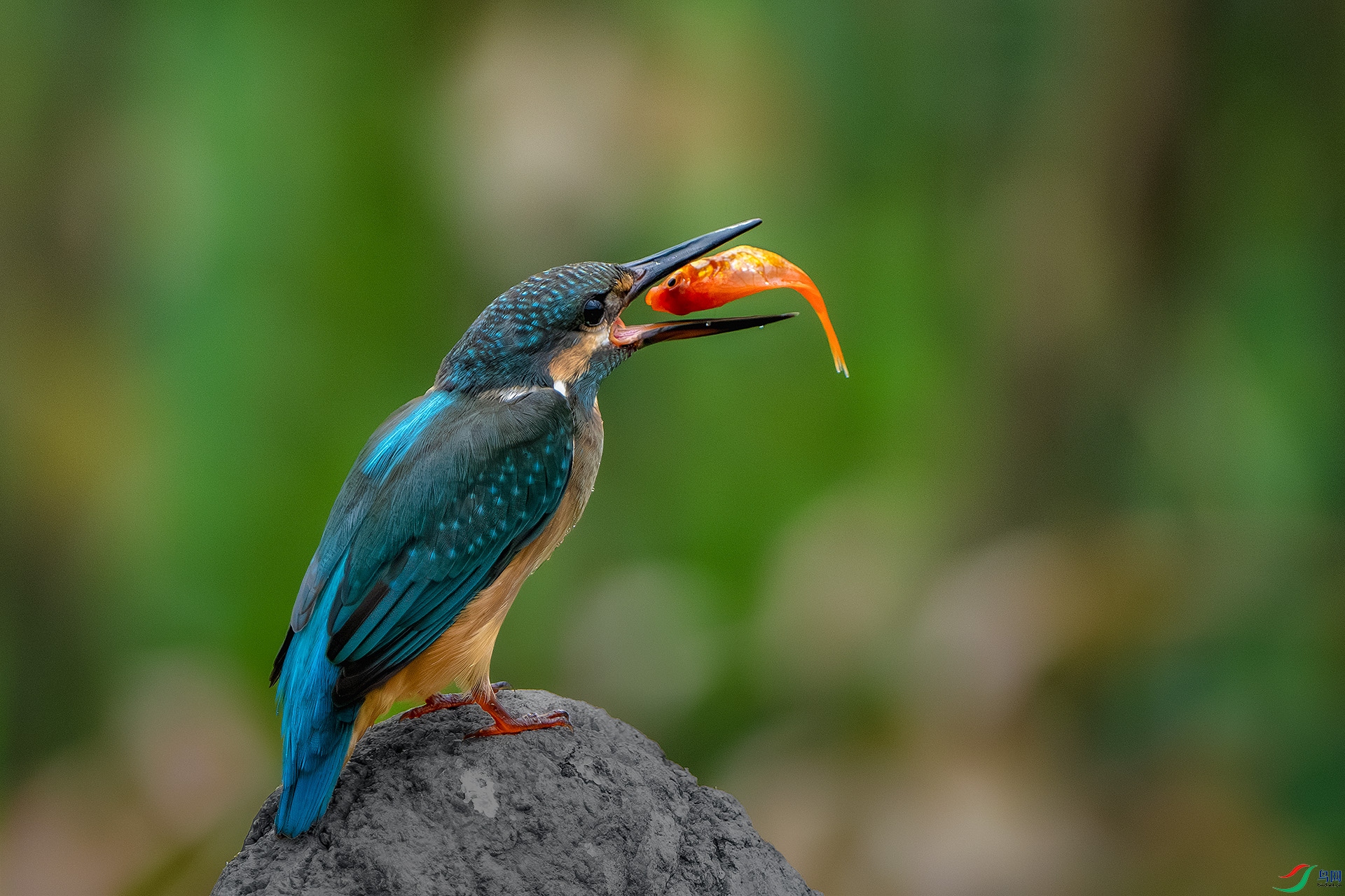 _DSC1711-����ǿ-NR ����С.jpg