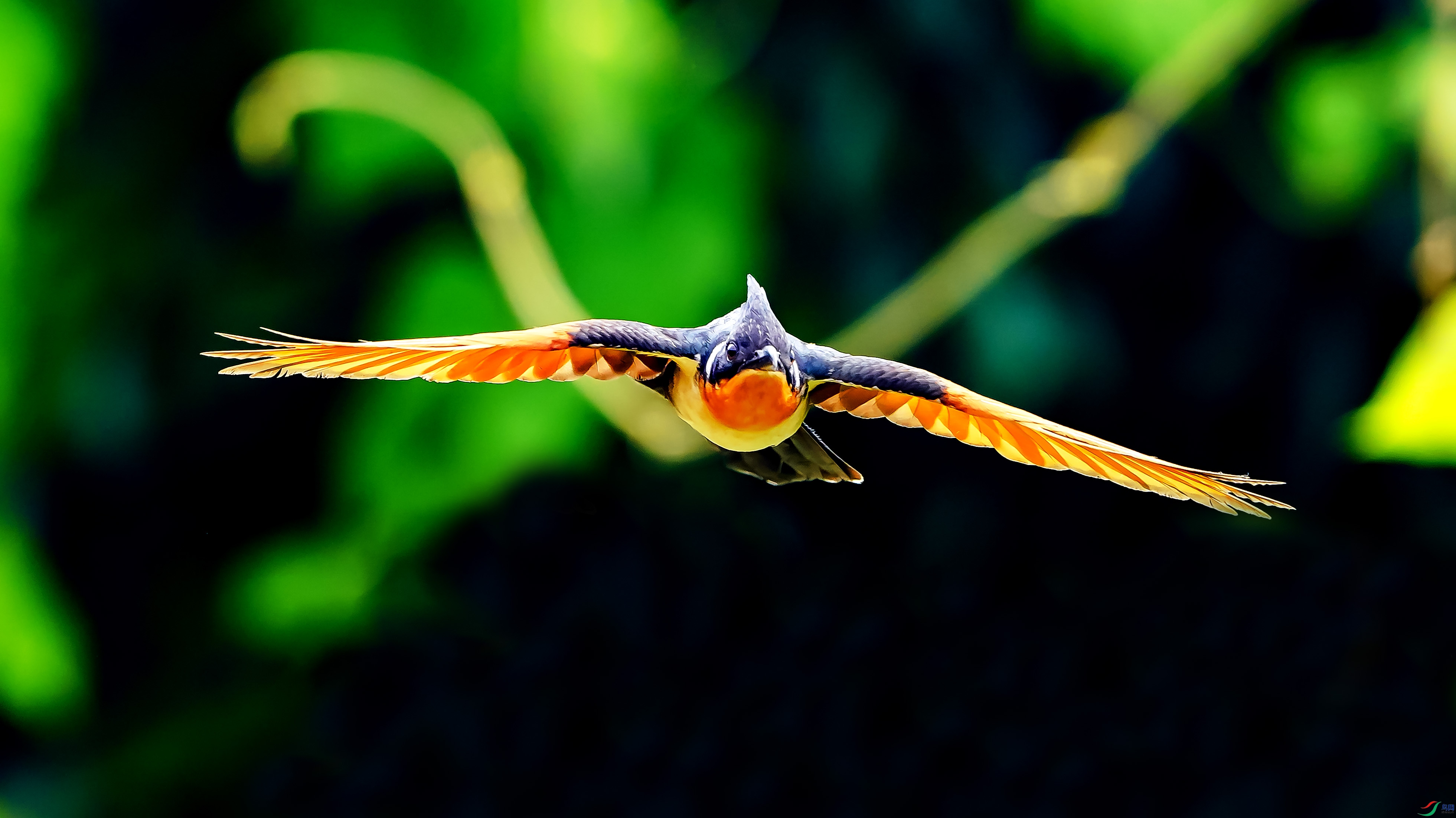 DSC07250 ����.jpg