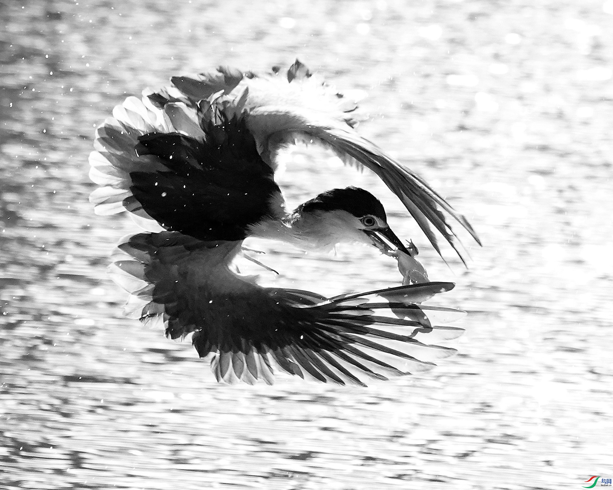 875 ˮ�� (ʮ).JPG