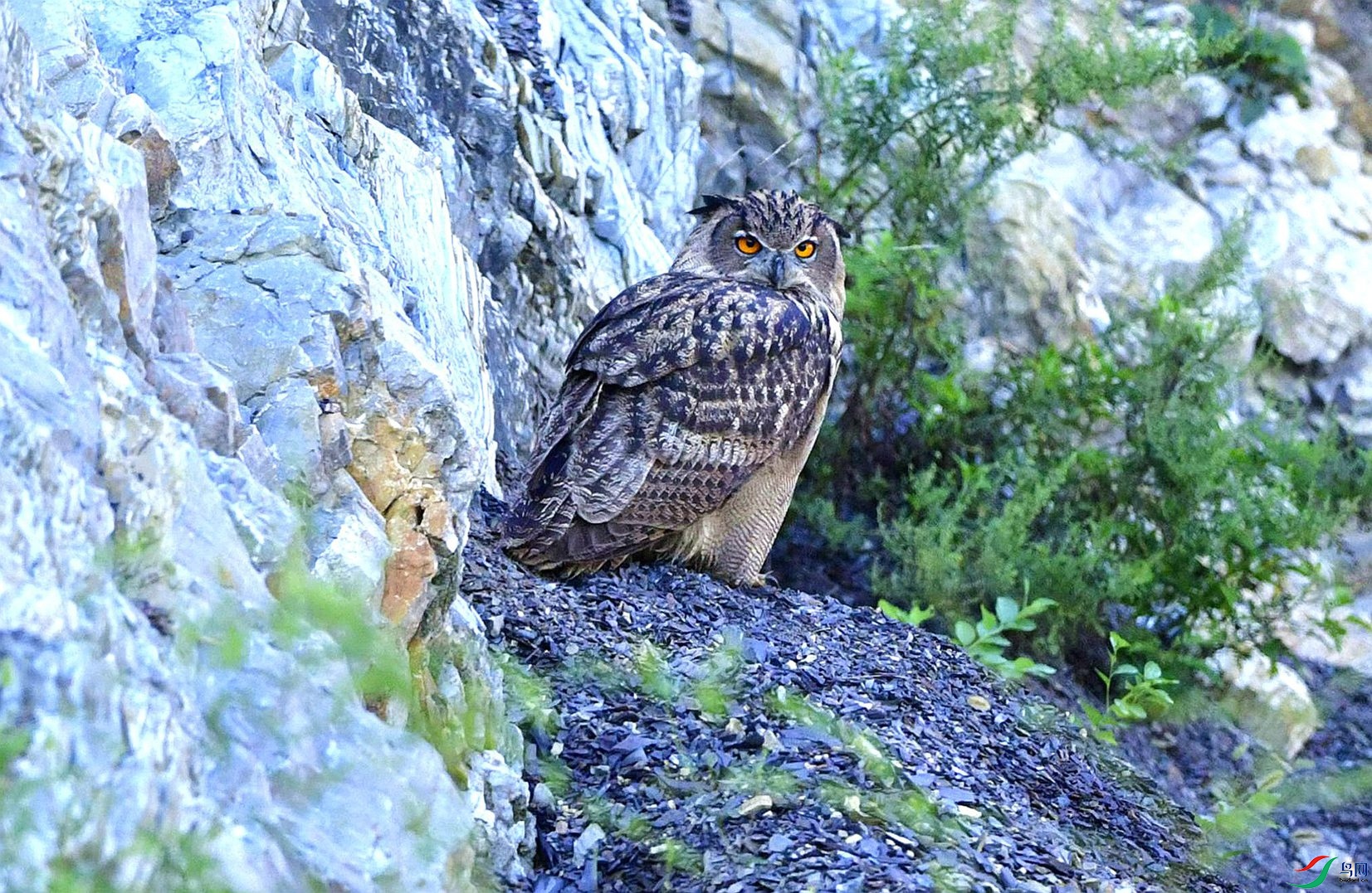 �����Ŀ�⡣