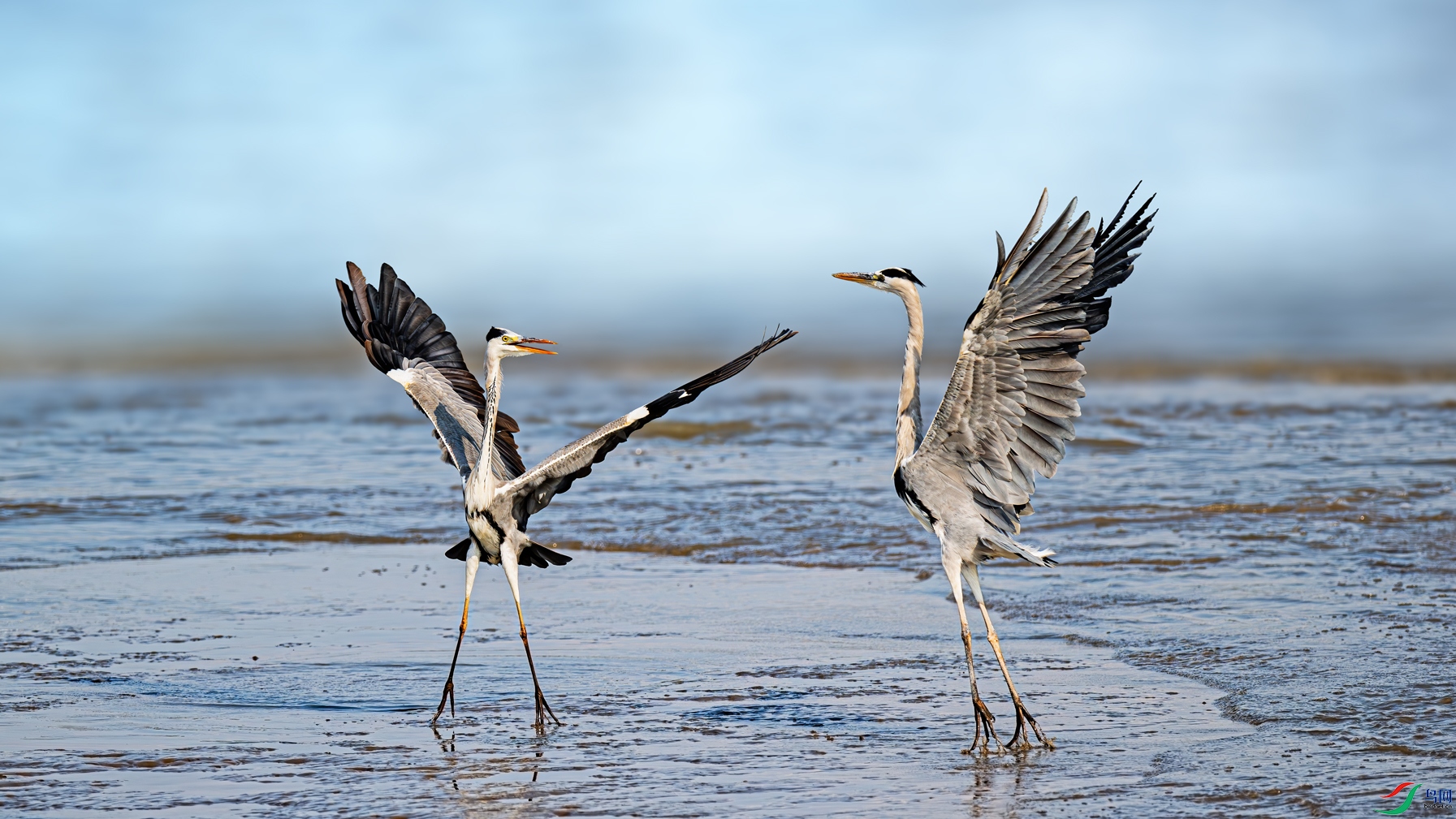 ̲Ϳ�Ի���2��