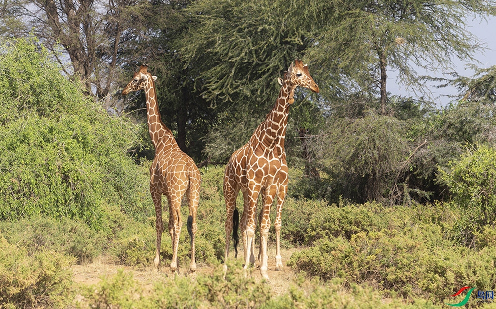 ����¹ (2).jpg