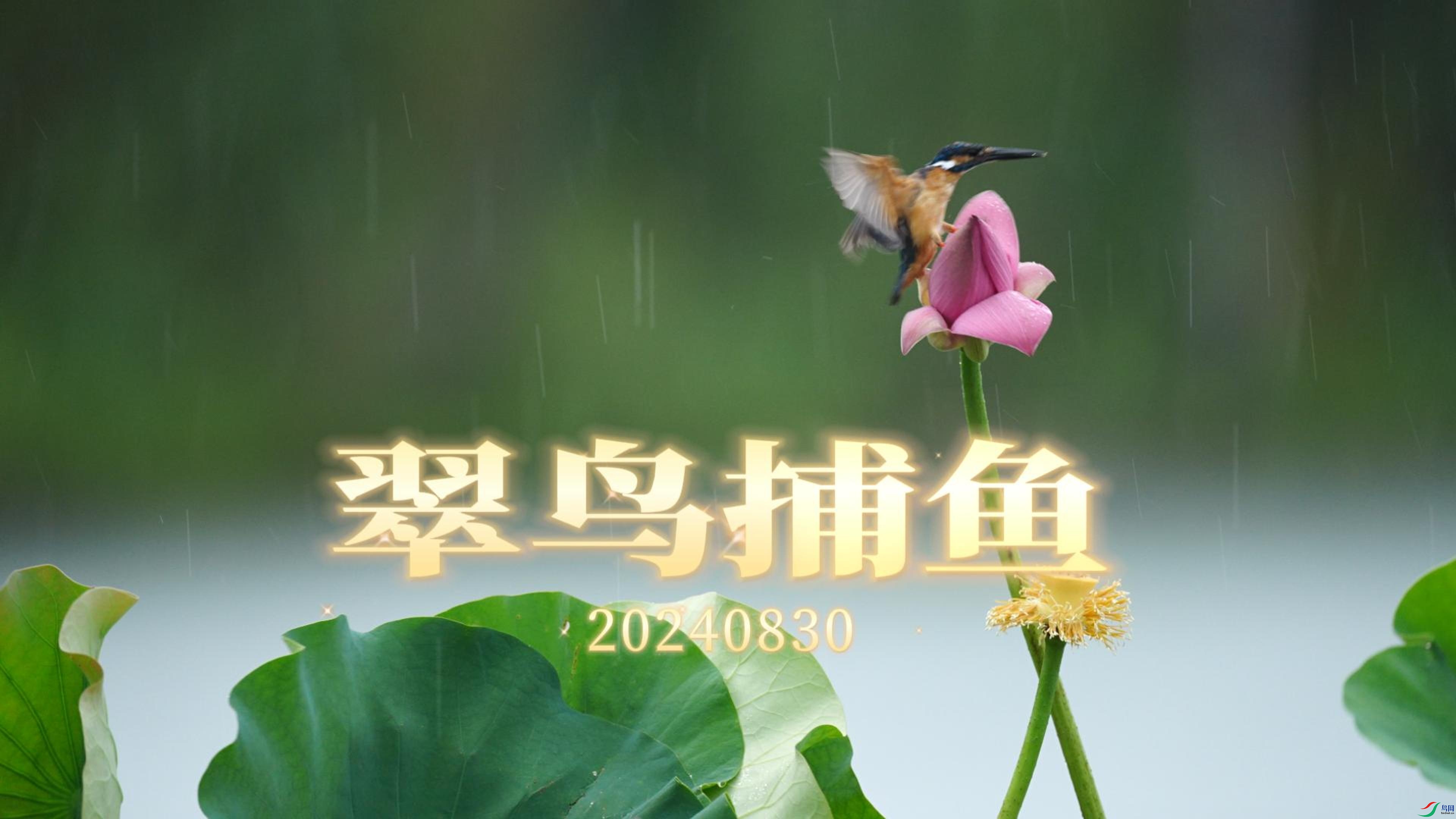 8��29�� (3)(1)-����.jpg