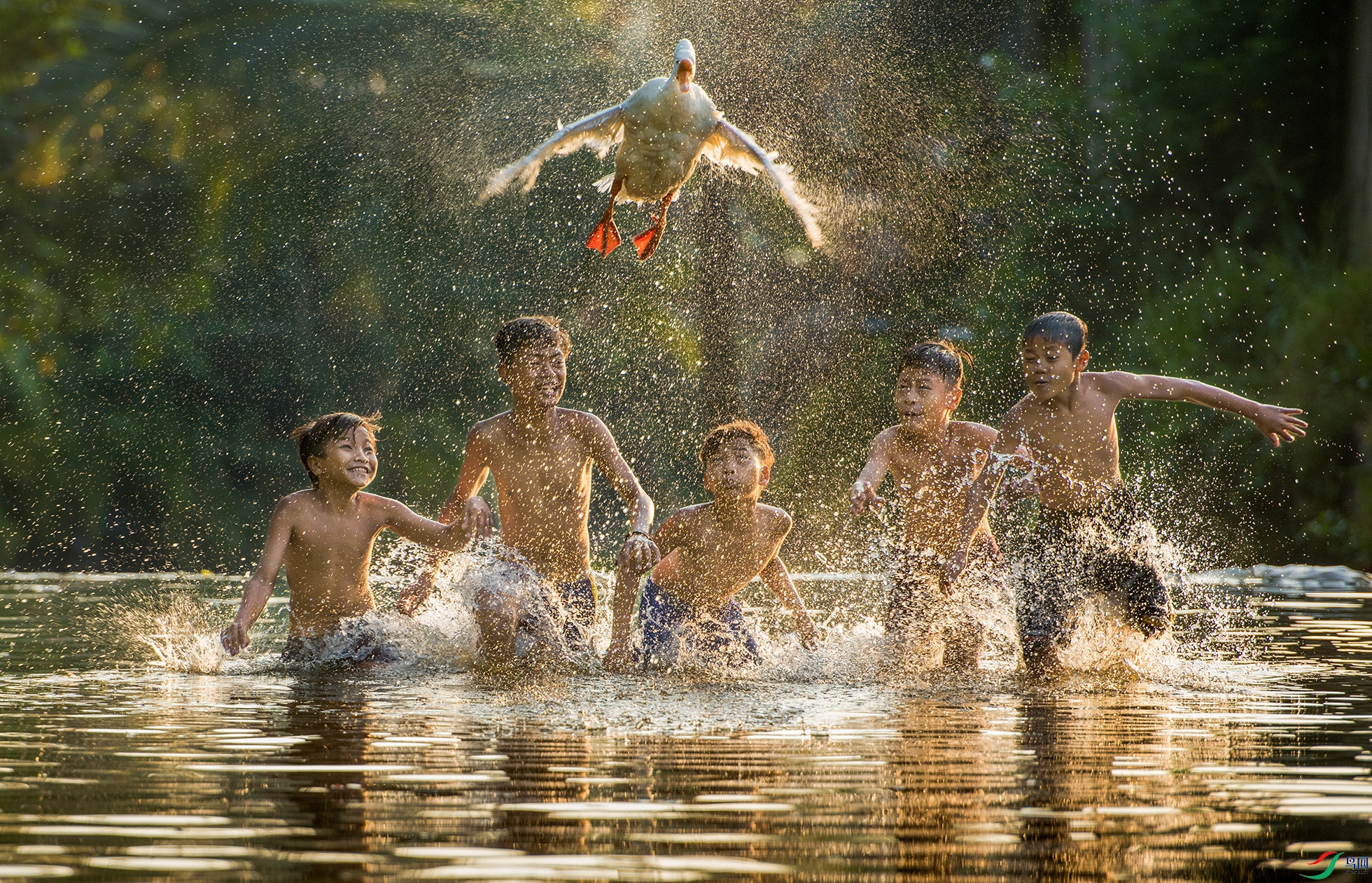 �Գ��ա�����ͯ�꡷  2017������ӡ�ᡣIPA�ھŽ������Ӱ����չ�𽱣�2019����ˮ������Ӱչ��.jpg