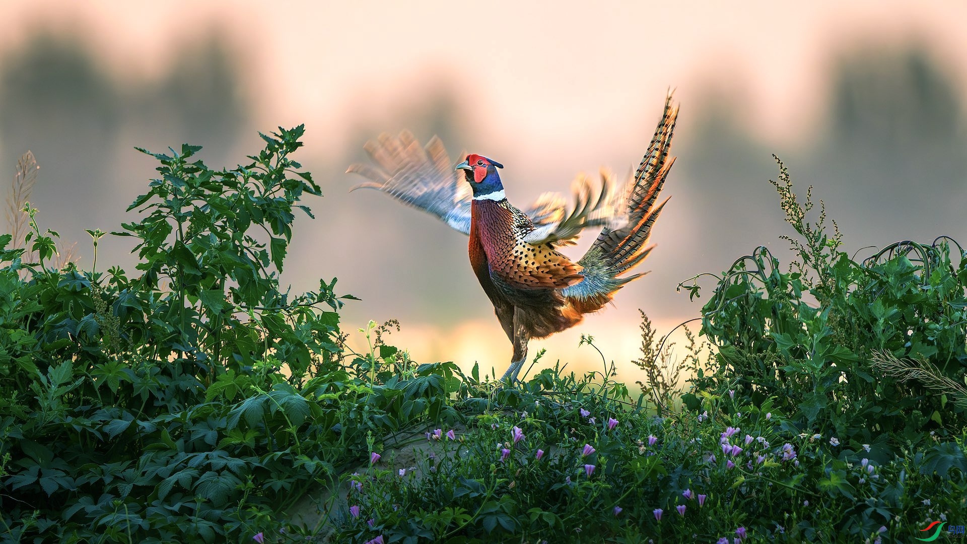 1_DSC1358-����ǿ-NR ���� 2.jpeg