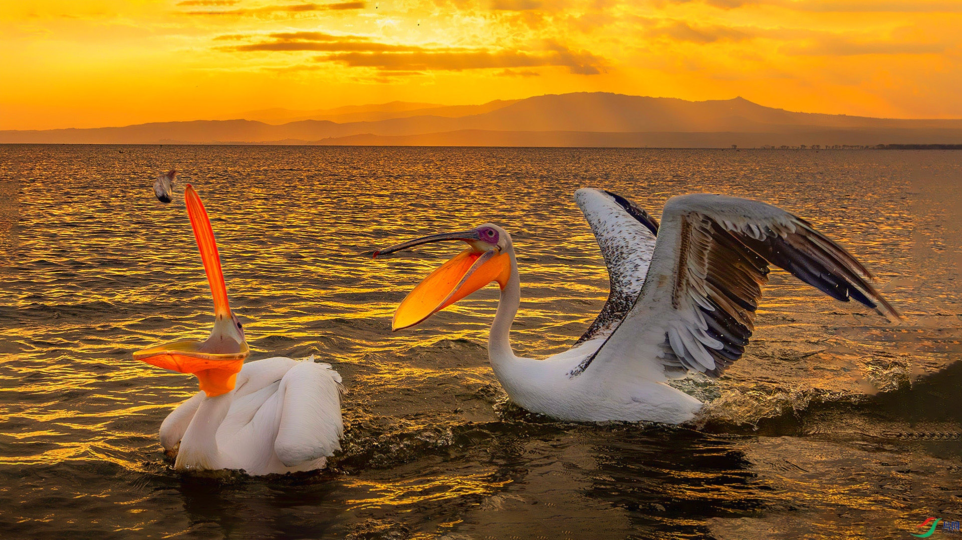 547A4439-����ǿ-NR-����-2 ���� 2.jpg