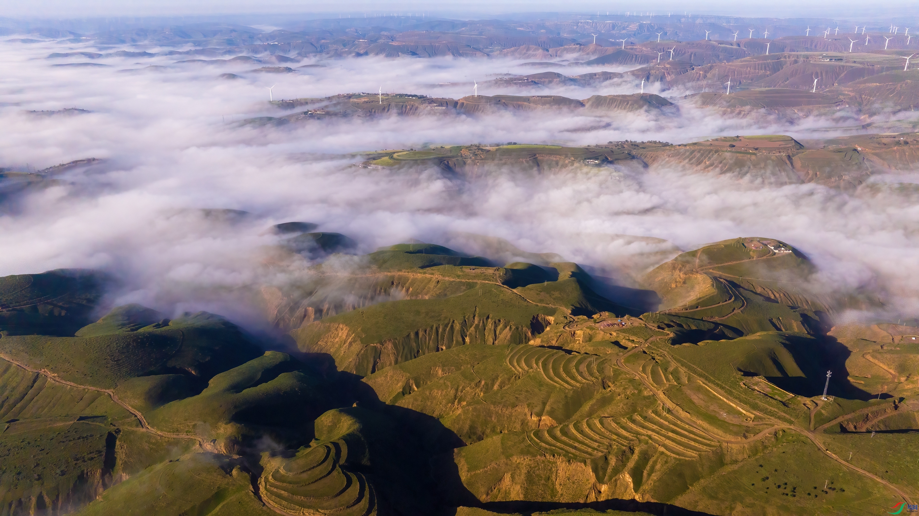 DJI_20240818075926_0314_D_����.jpg