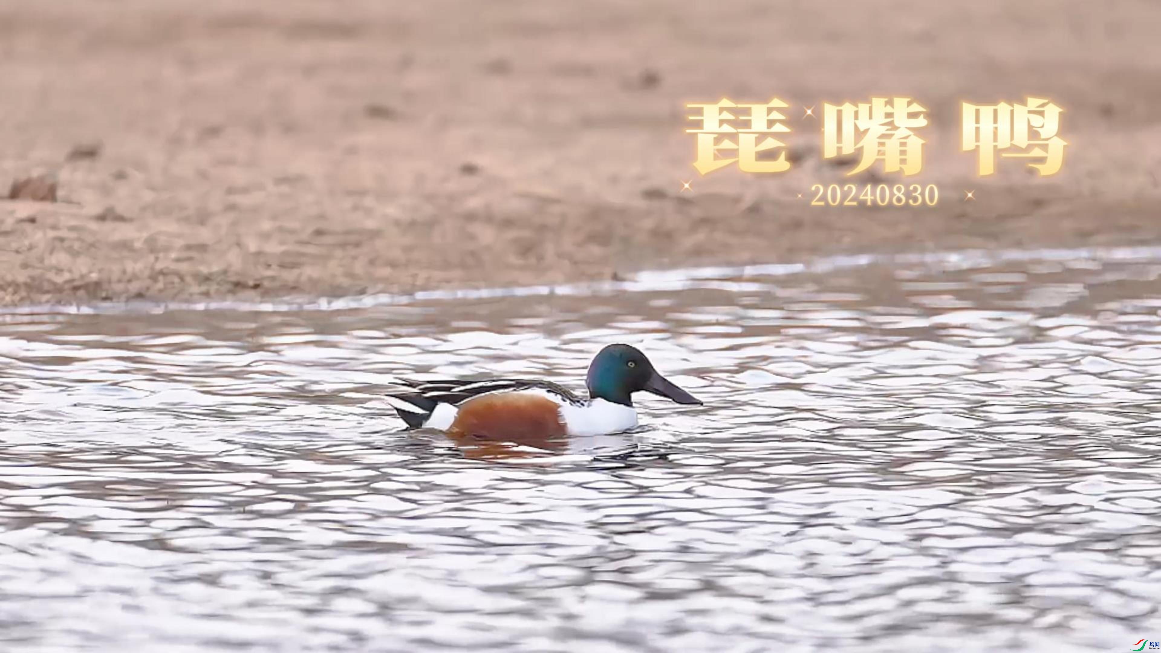 8��30�� (1)-����.jpg