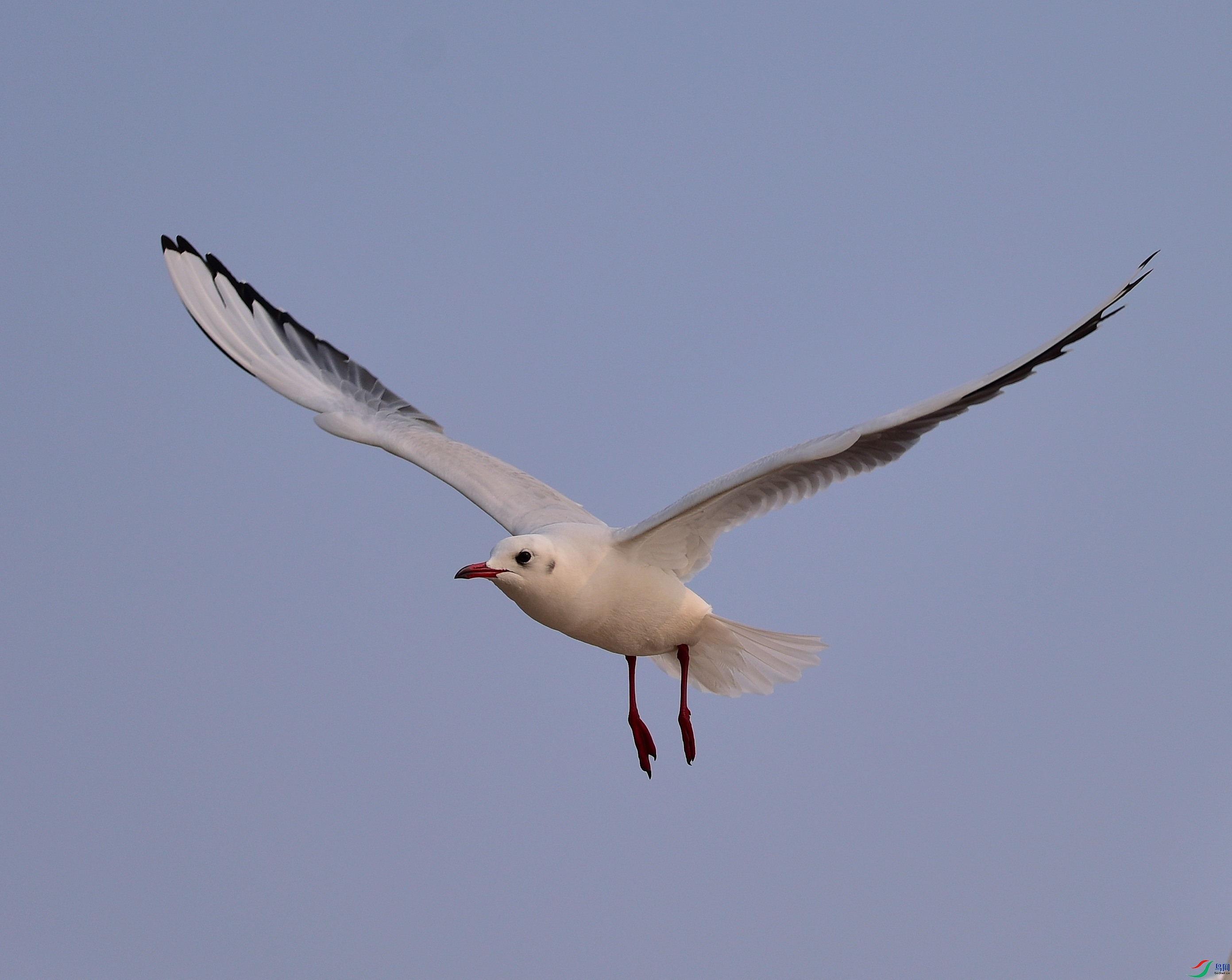 DSC_0023-12-29.JPG