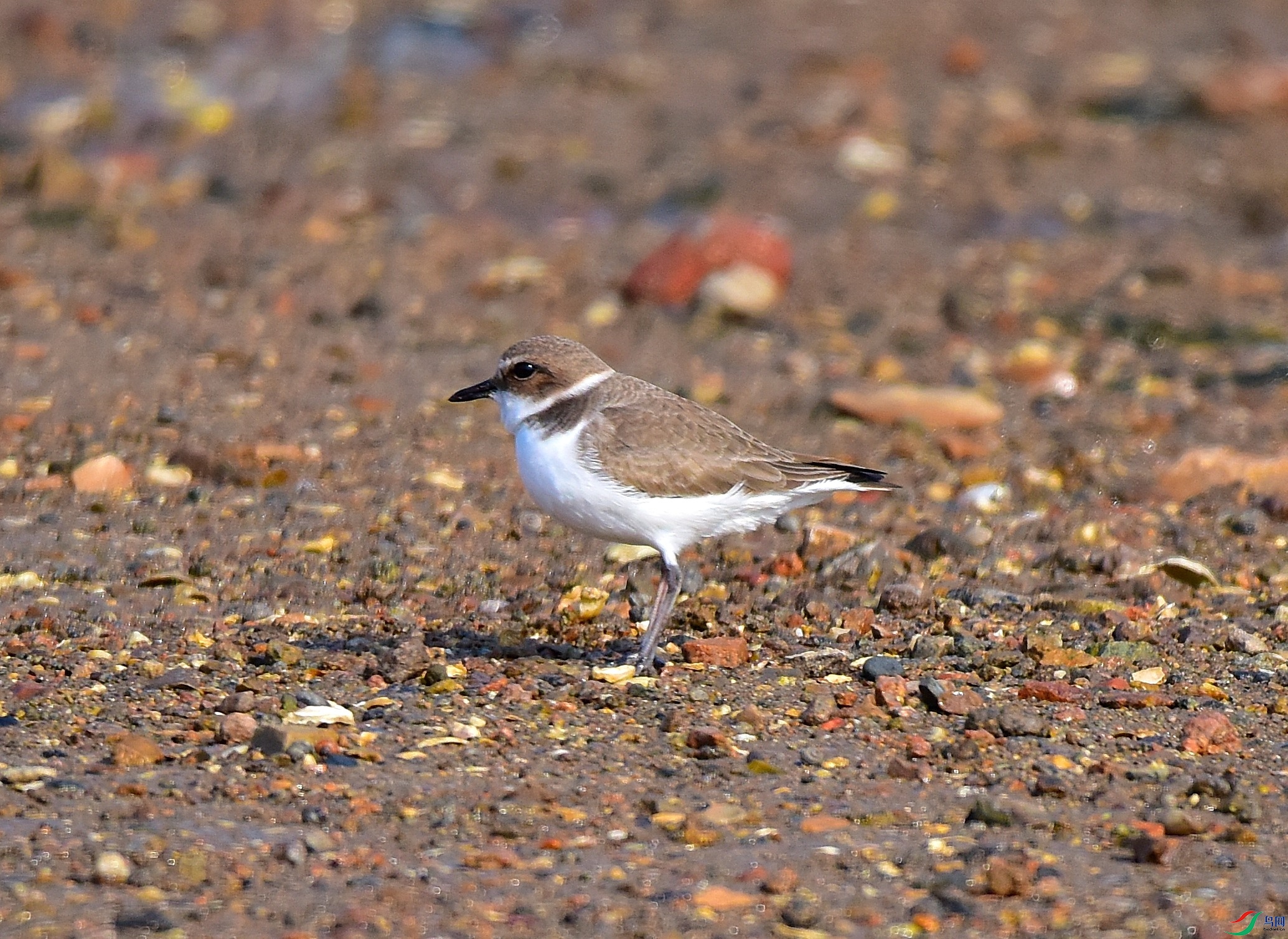 DSC_7708-17-12-6.JPG