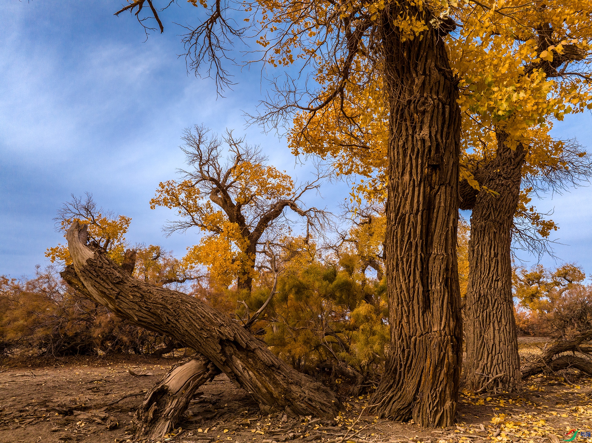 DJI_0866 ����11.jpg