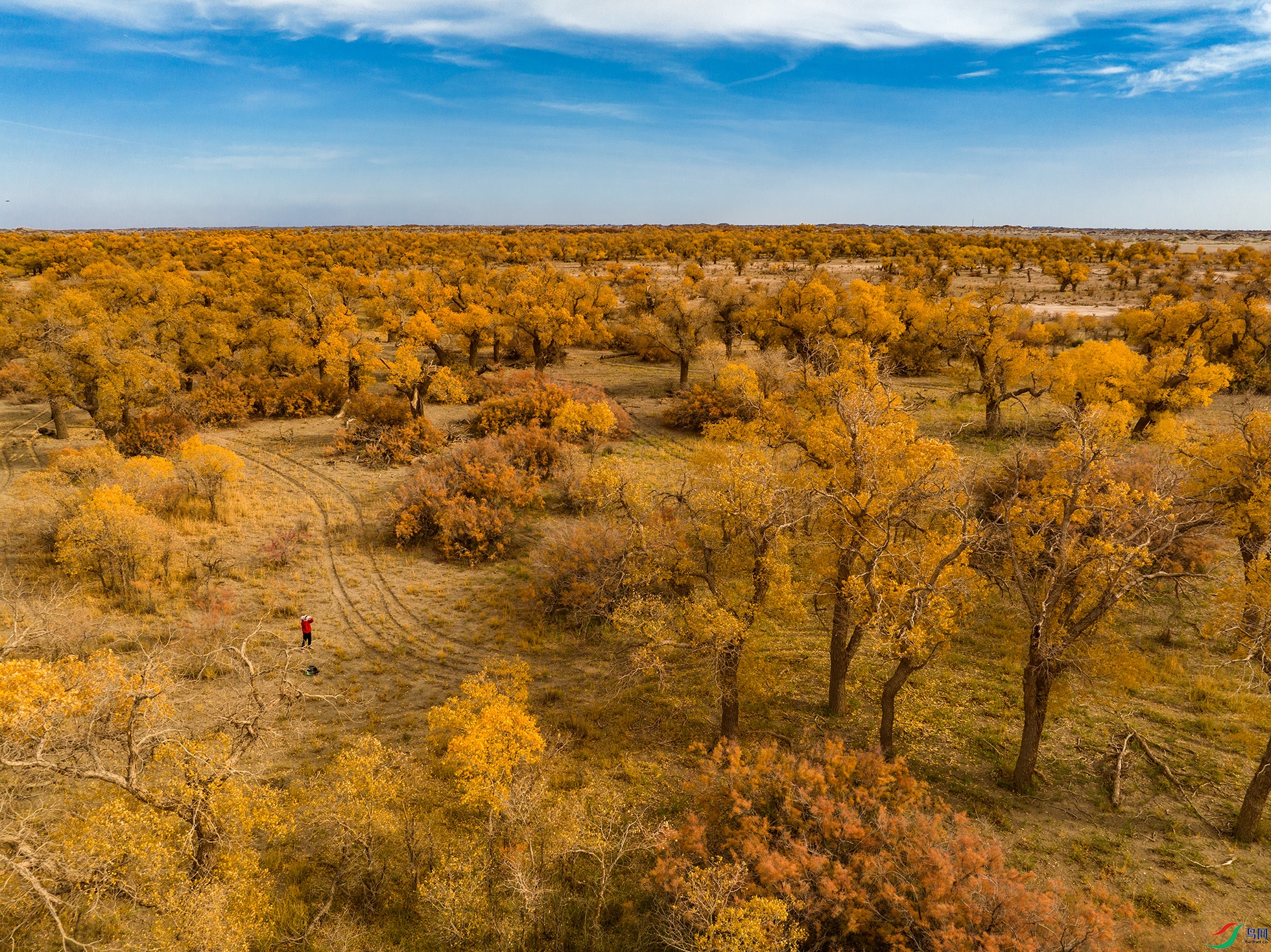 DJI_0841 ����11.jpg