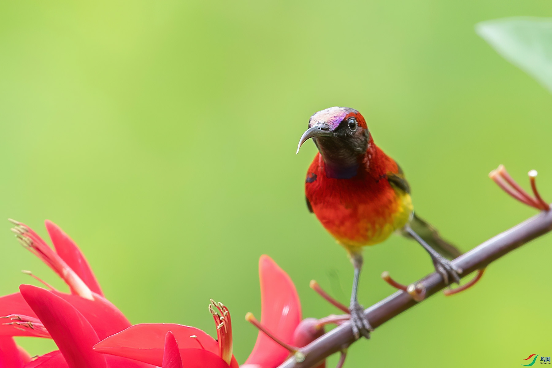 ����̫����5