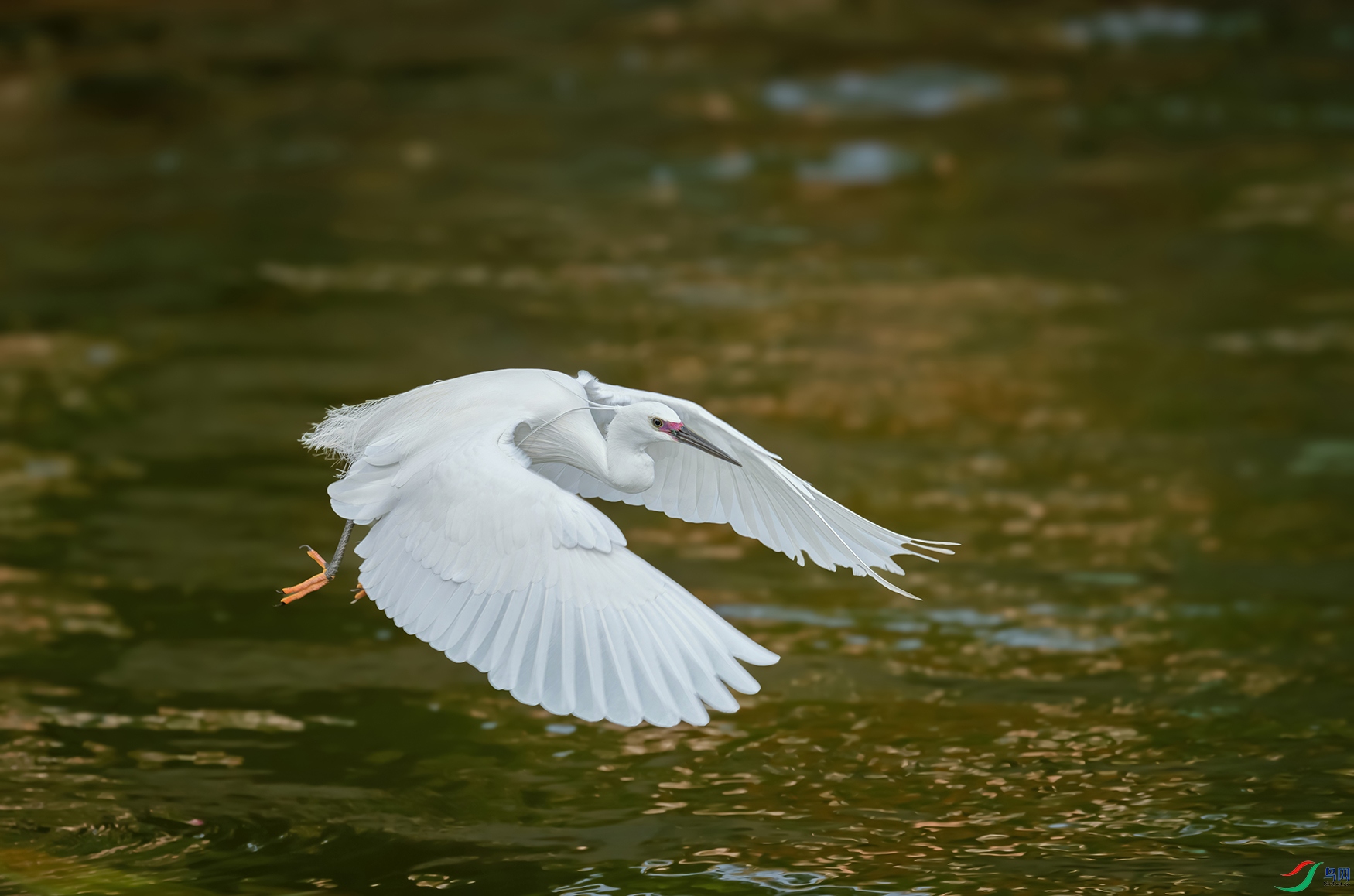 DSC_3316.jpg