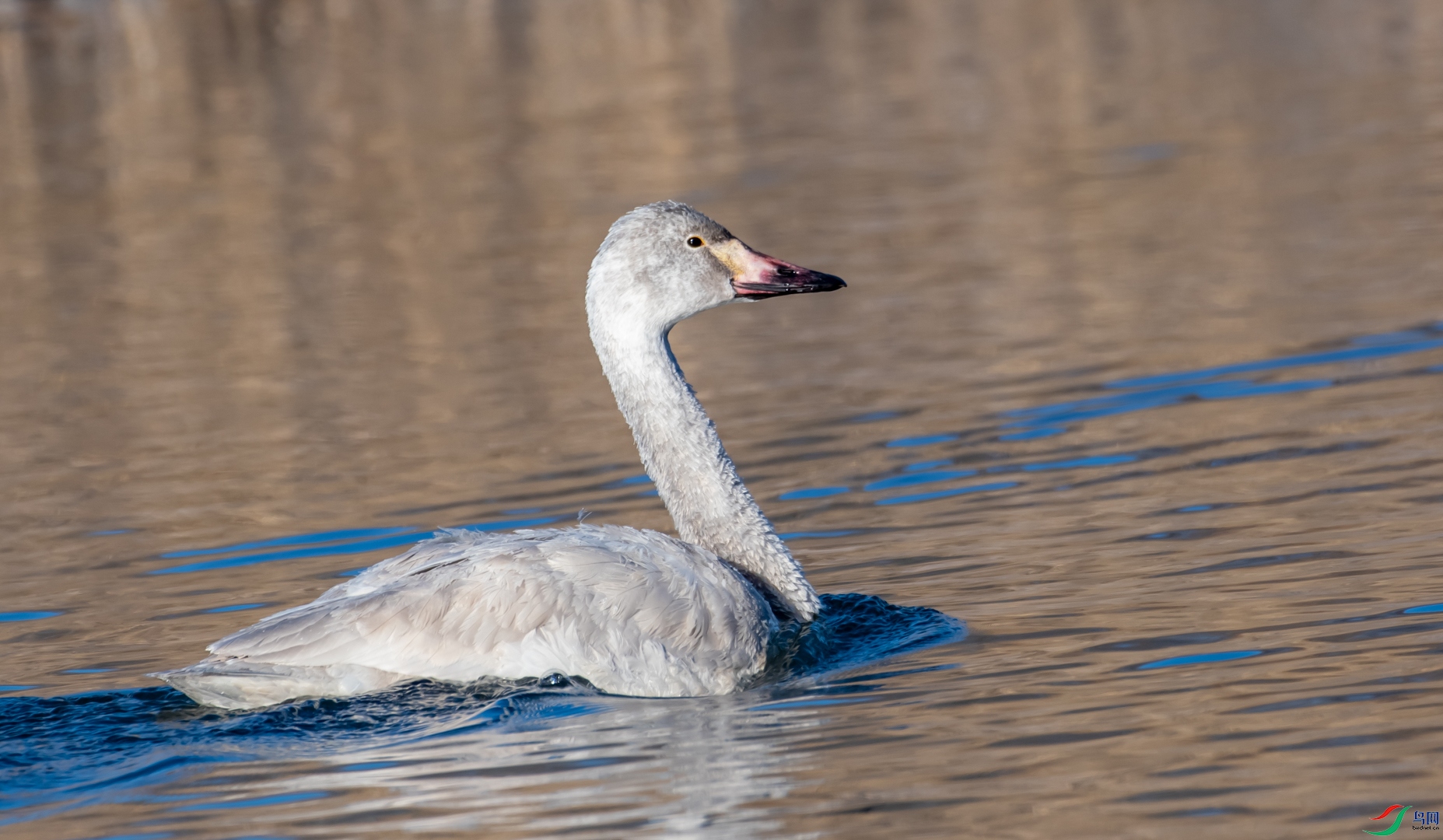 DSC_7608.jpg