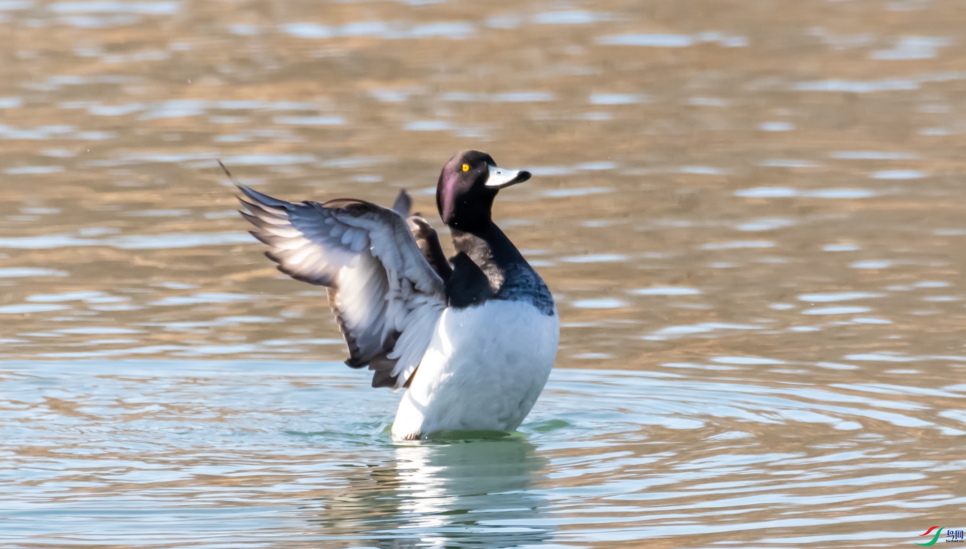 DSC_6151.jpg