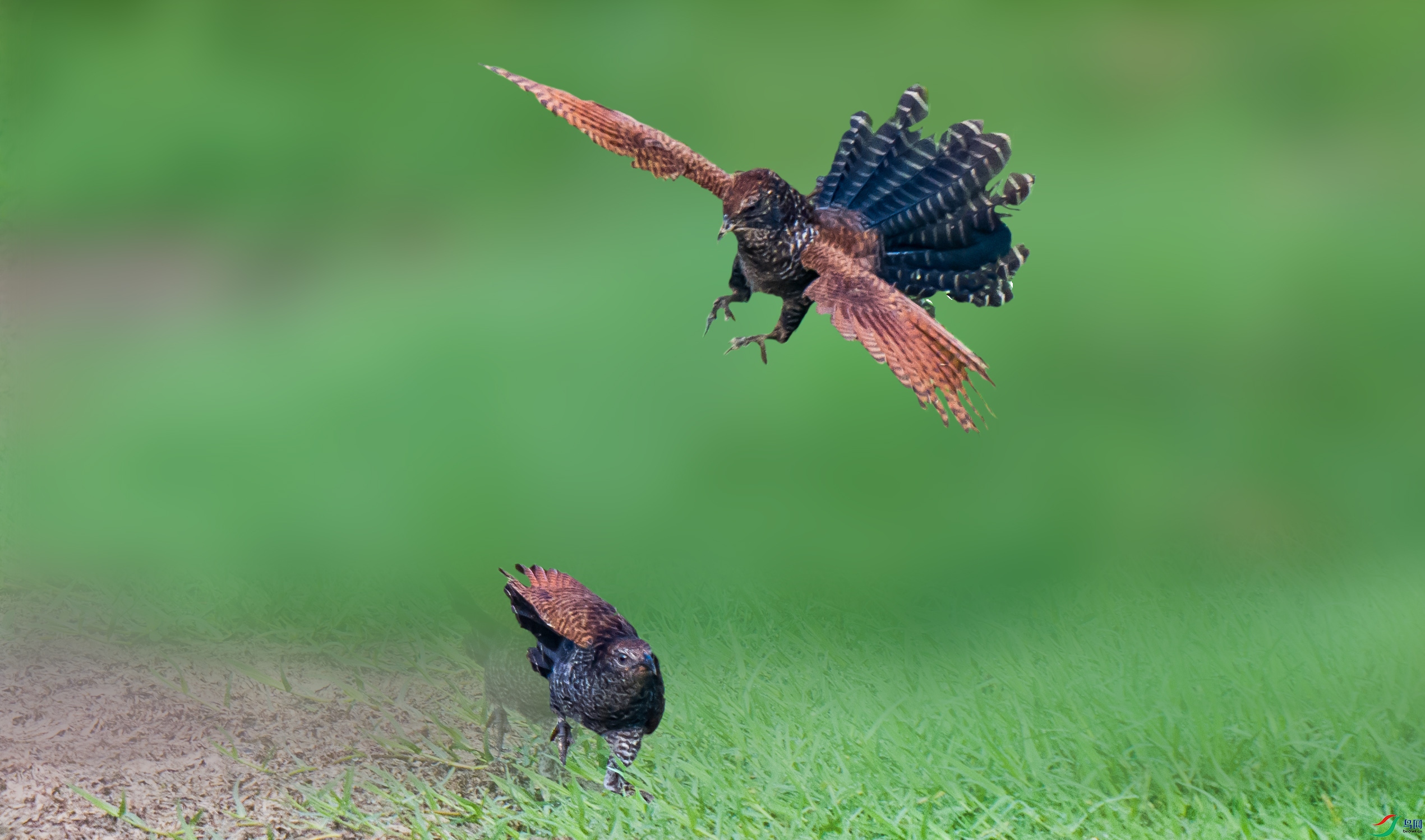 LJH_9055-3.jpg