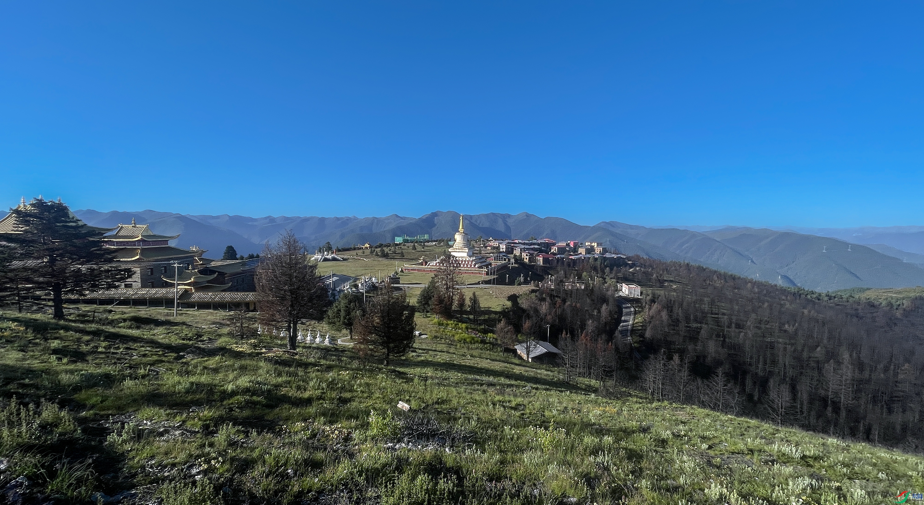 IMG_4281 ����.jpg