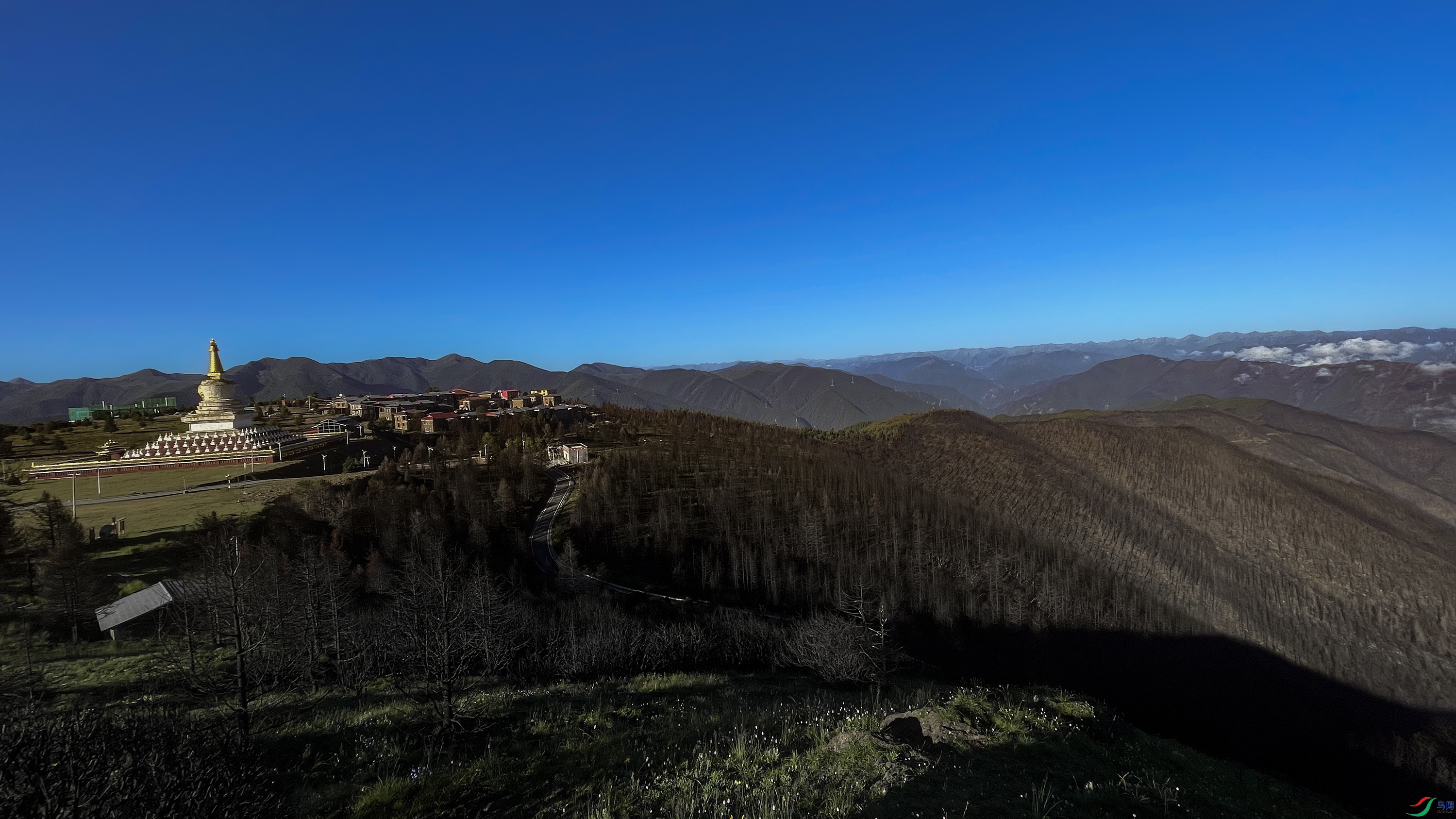 IMG_4289 ����.jpg