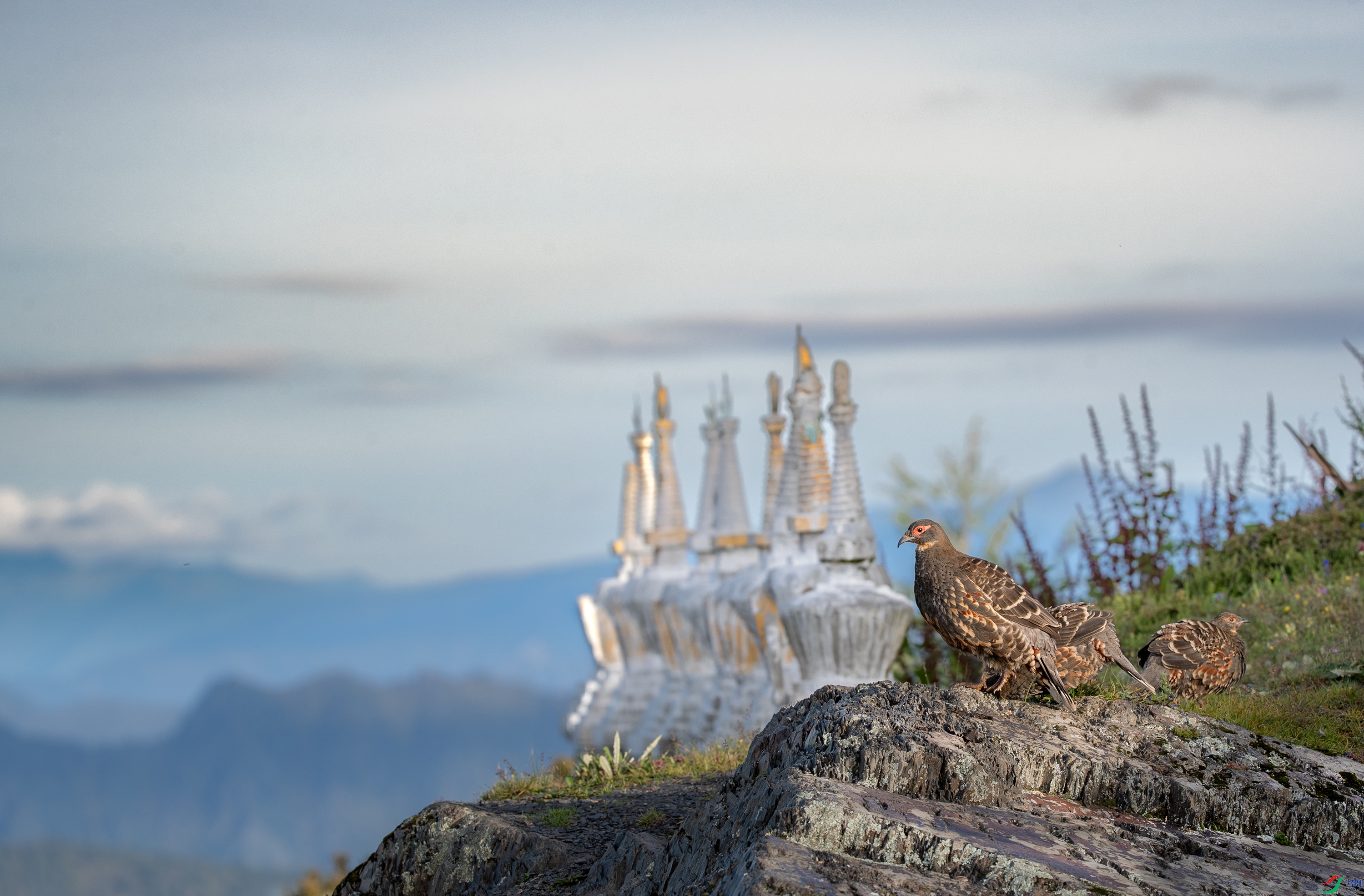 AY8I3625 ����.jpg