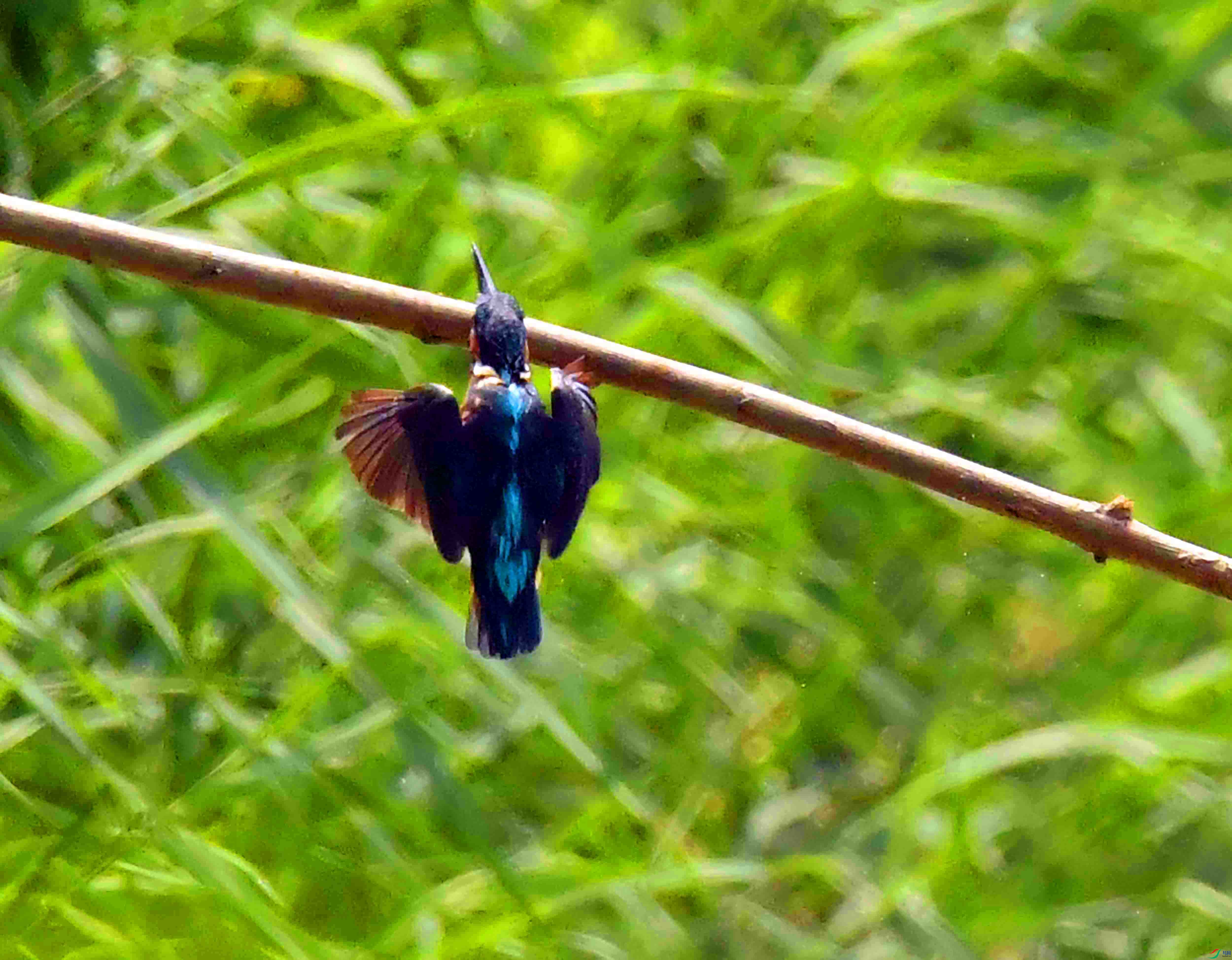 DSC_0243.JPG