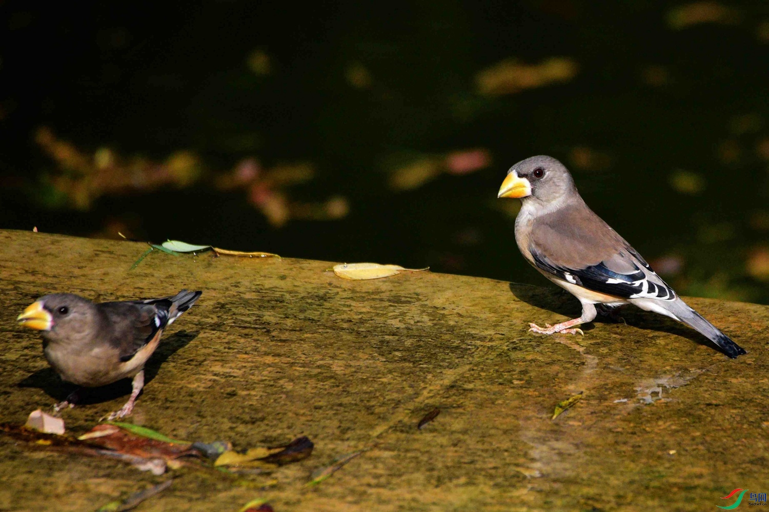 DSC_8351.JPG