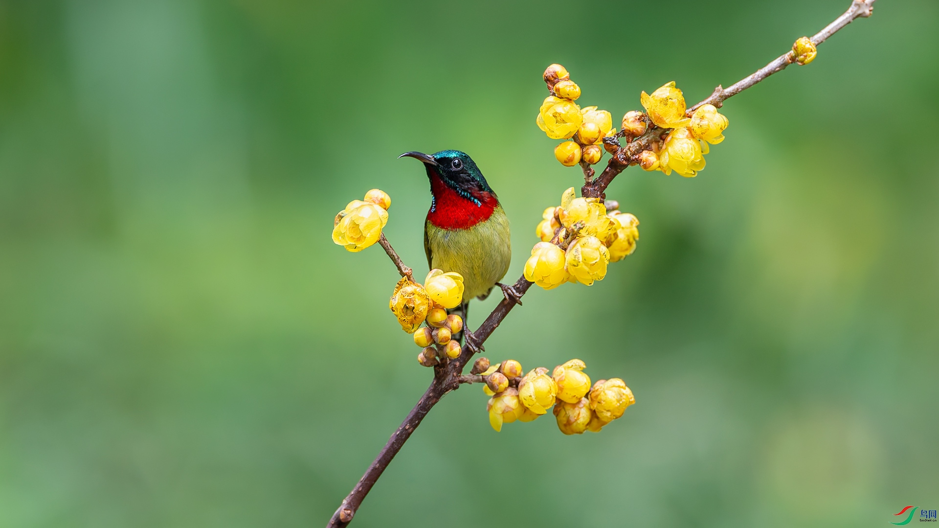 B73I4682.jpg