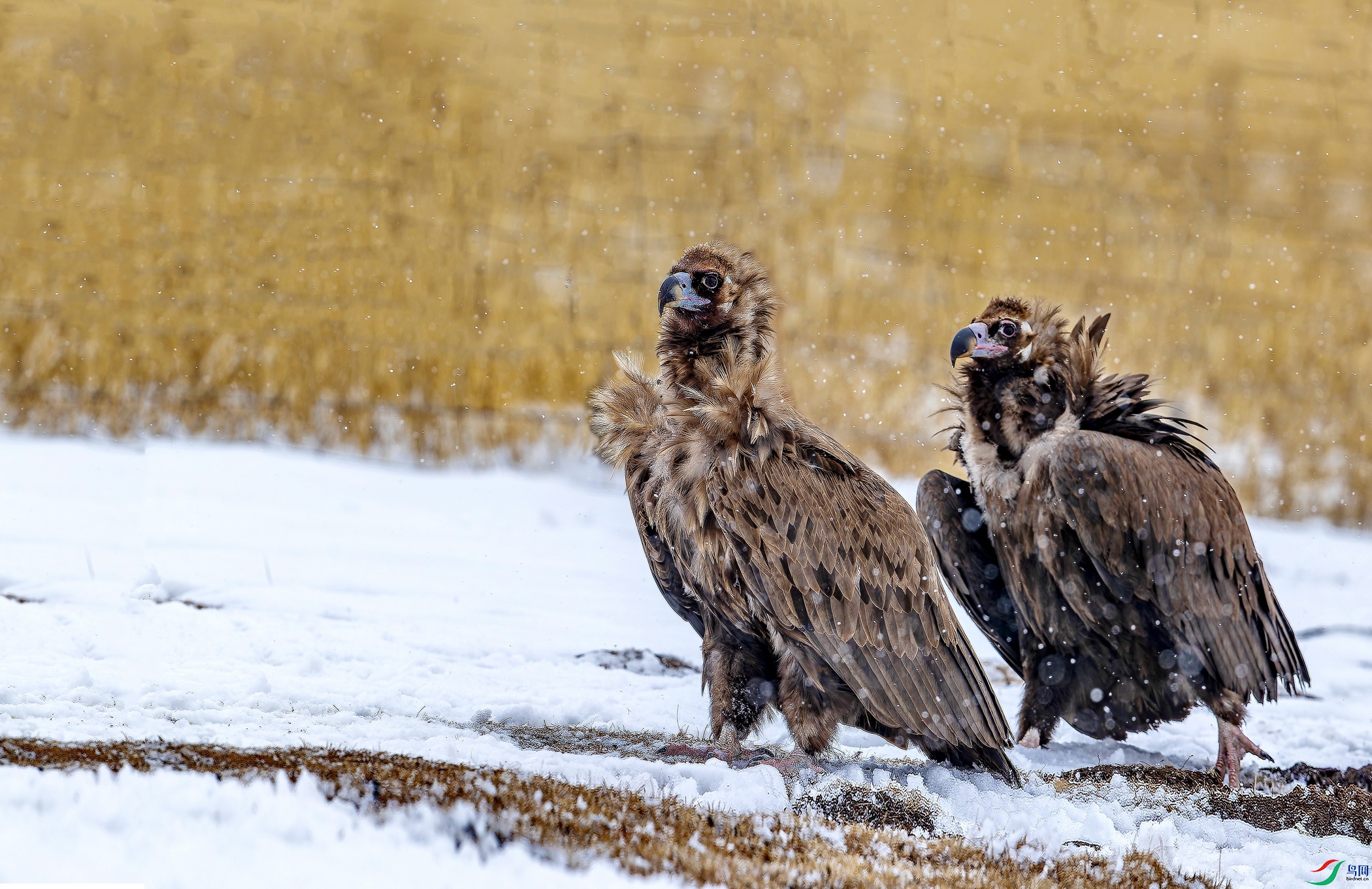 ͺ�� (918)-1.jpg