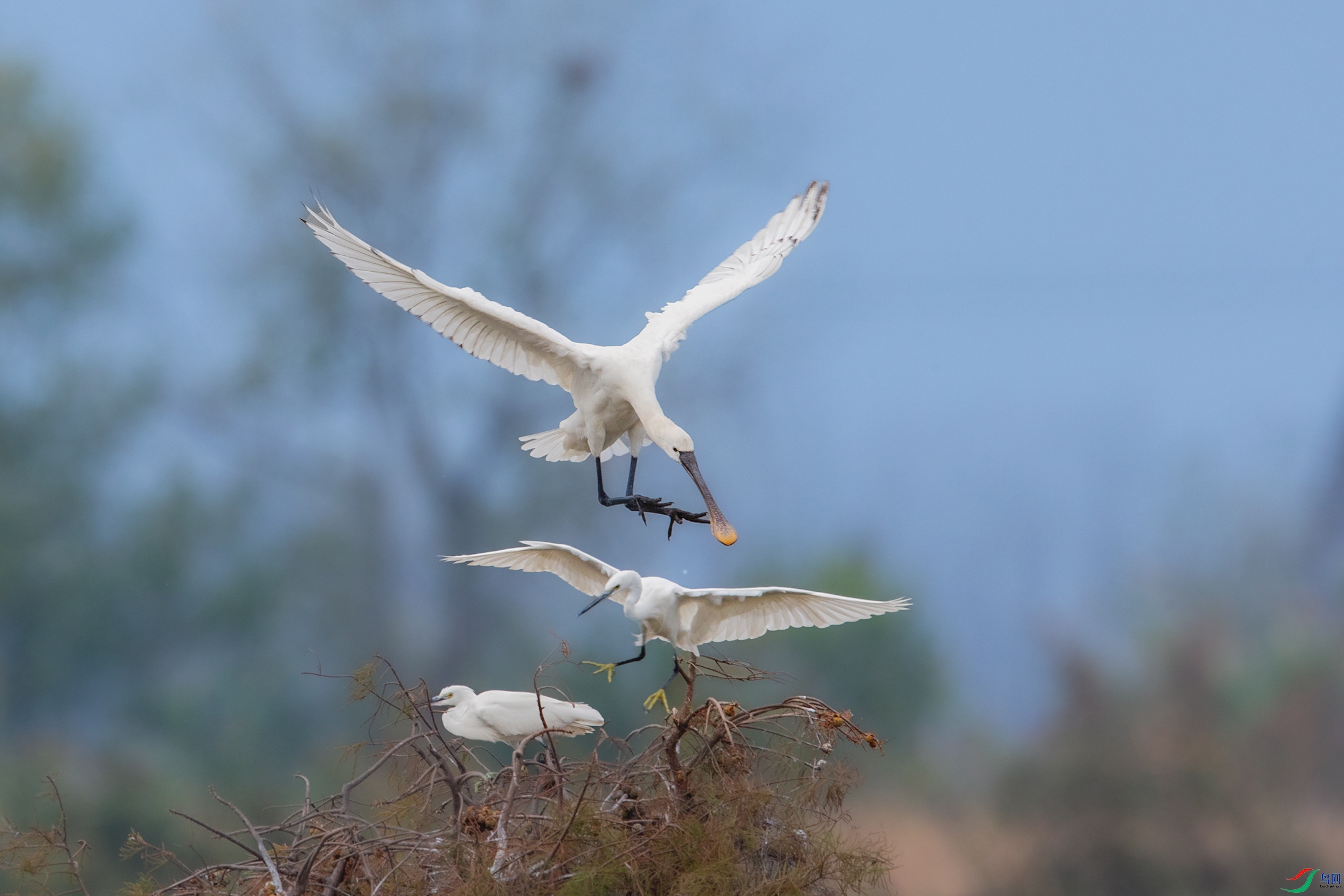 BE5I5351 ����.jpg