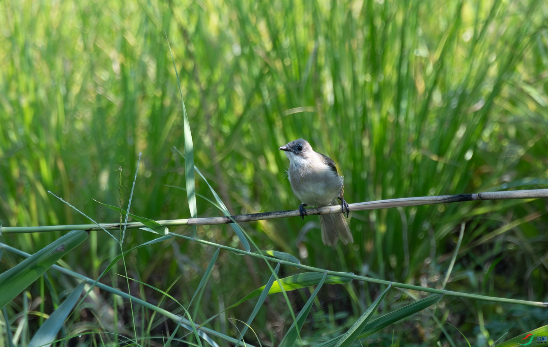 DSC_5067.jpg