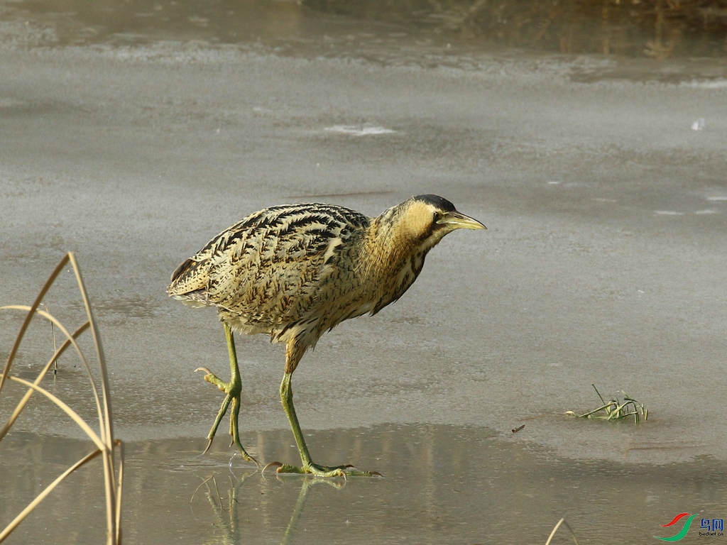 DSC20231226098.jpg