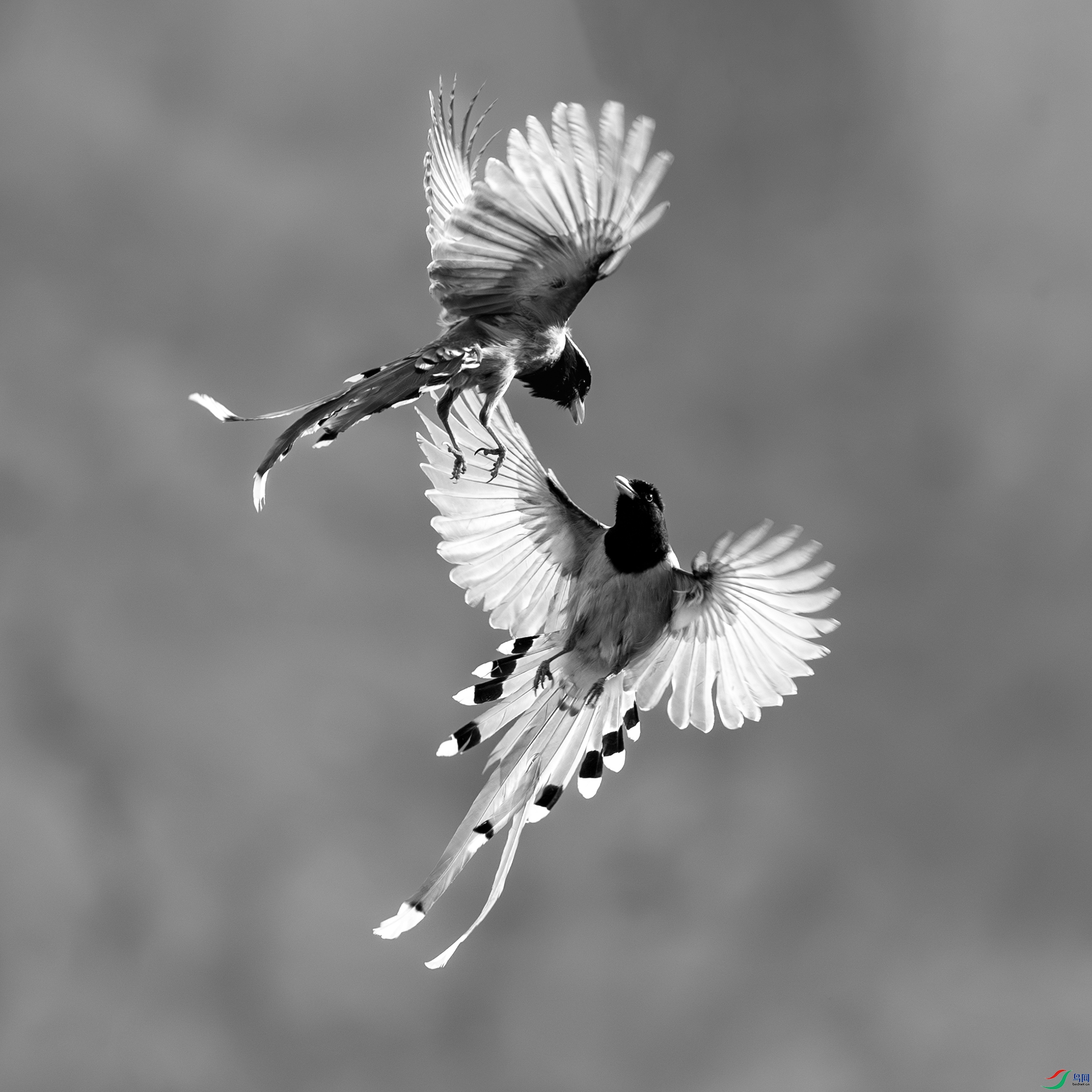 _DSC3004-����ǿ-NR.jpg������ȸ24-07-31A.jpg